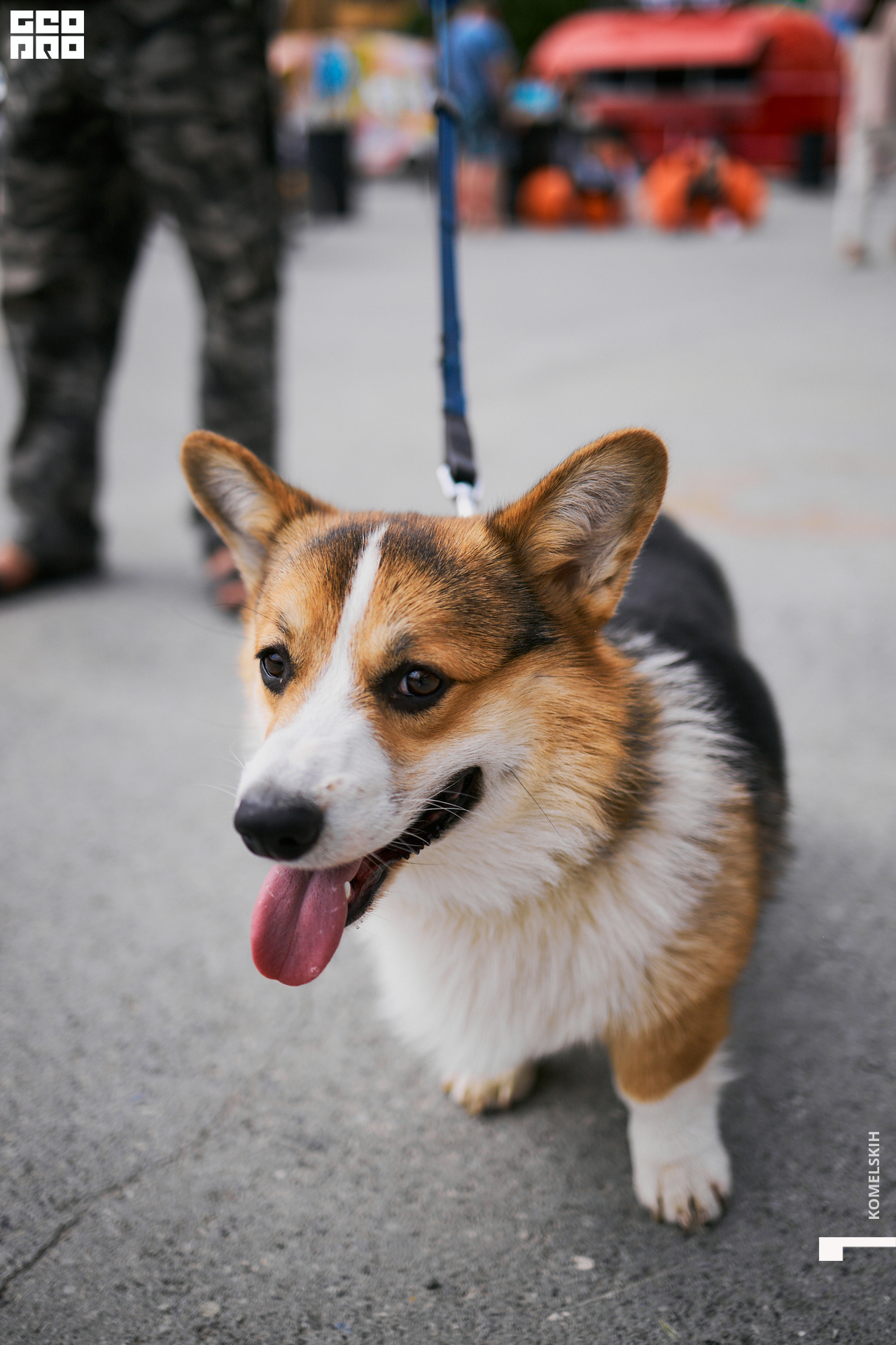 118-28_05_2022-14-07-51 - Komelskih.jpg