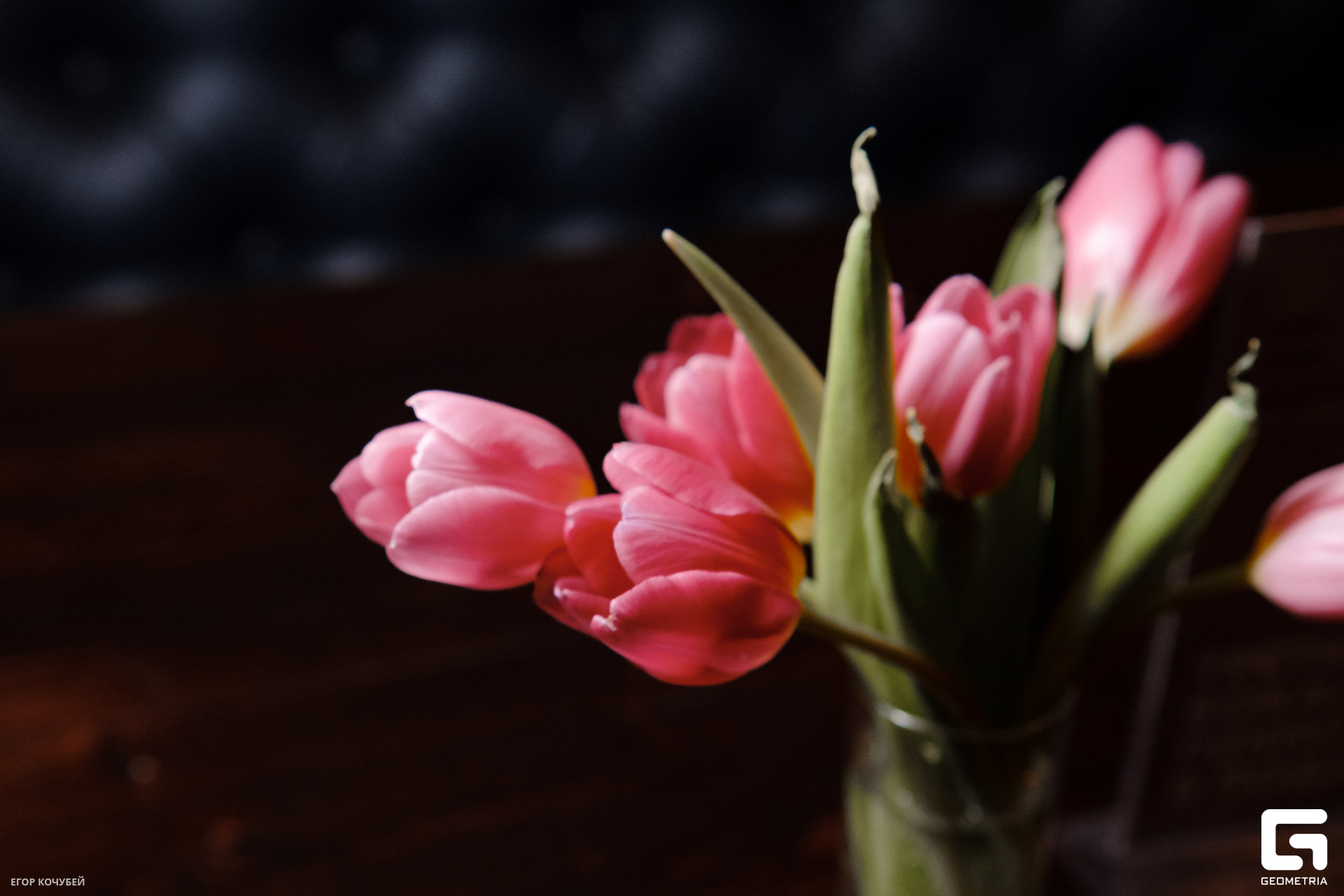 230307 Кочубей 036.jpg