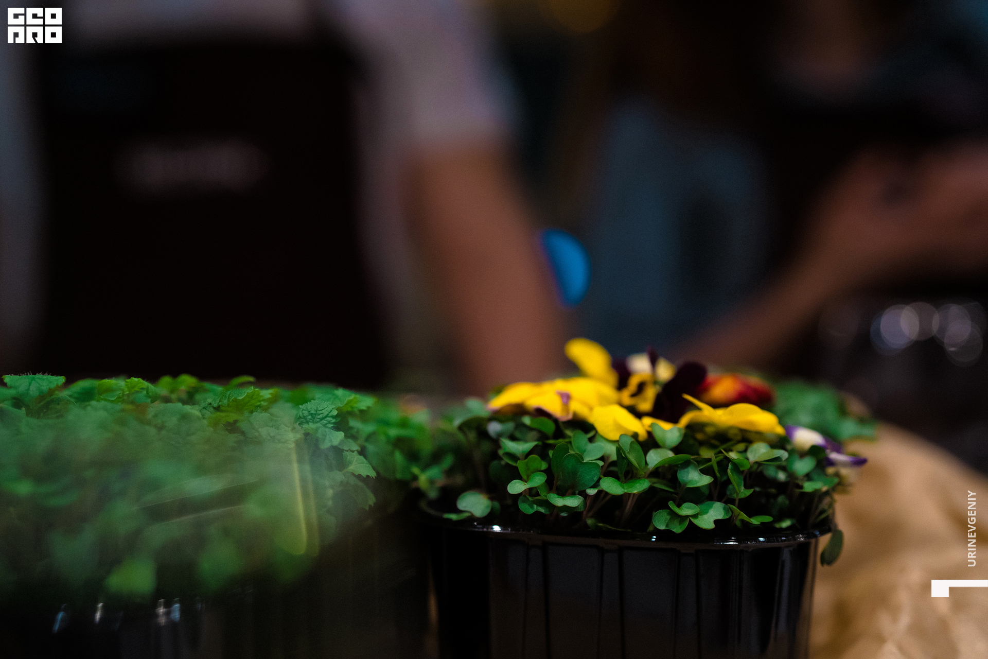 23.04.2021. Каре (7).jpg