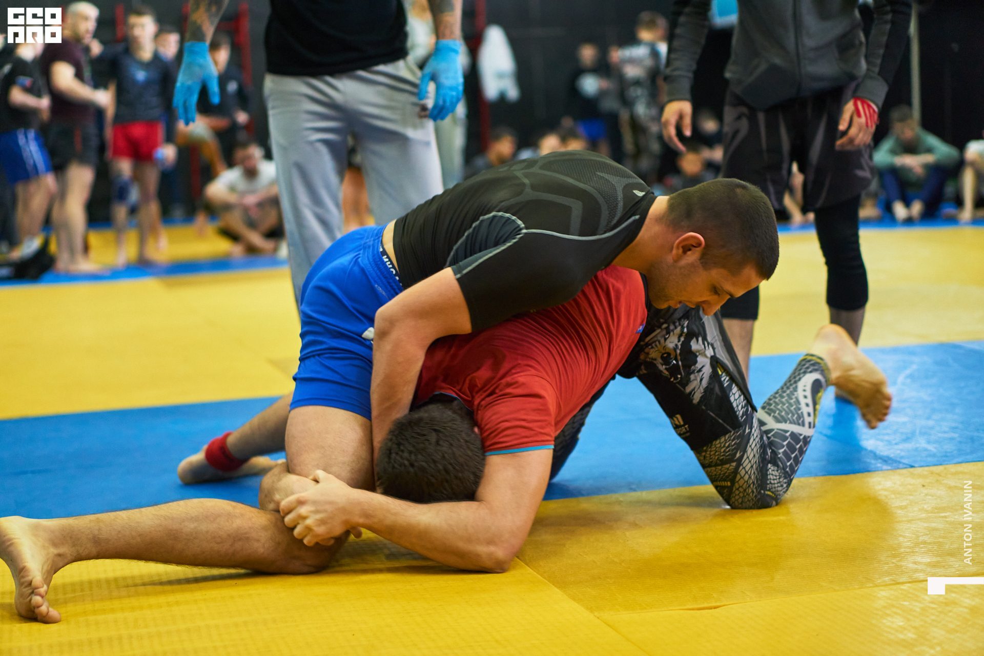 DSC09321 (Копировать).jpg