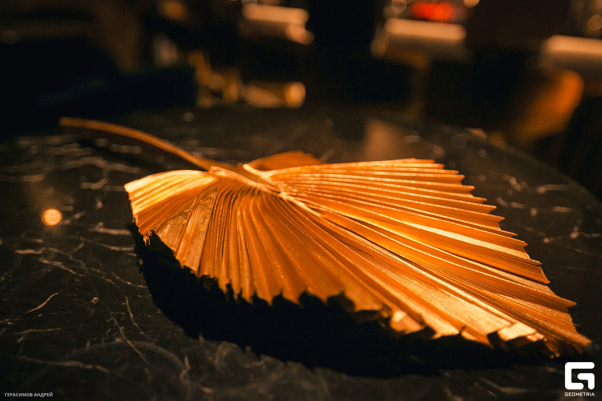 093 Bloom bar 1. 12.jpg