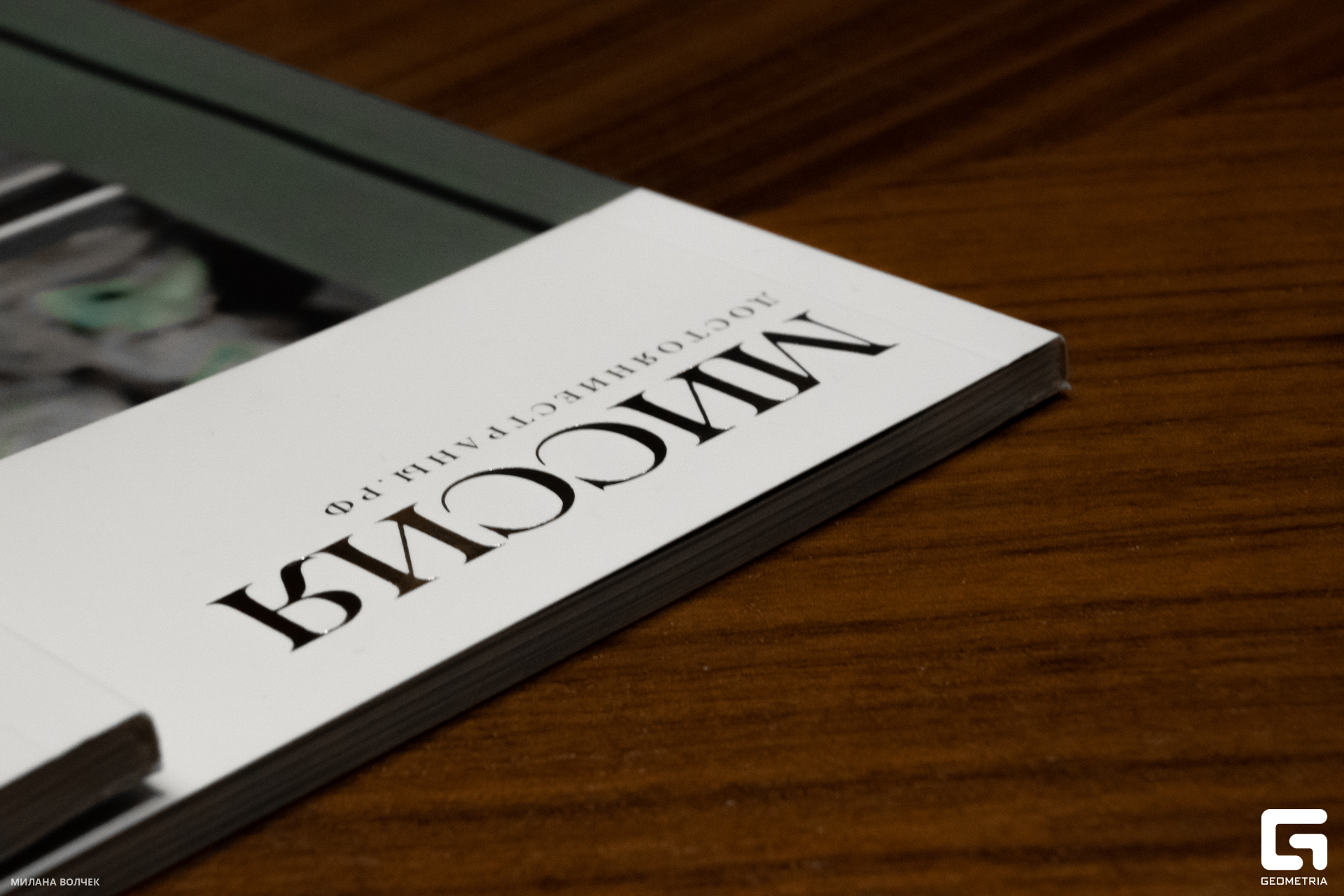 025_20231111 Волчек.jpg