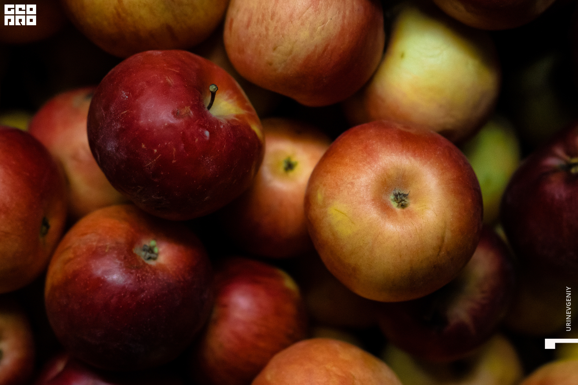 08.03.2021. Café Krasnodar (2).jpg