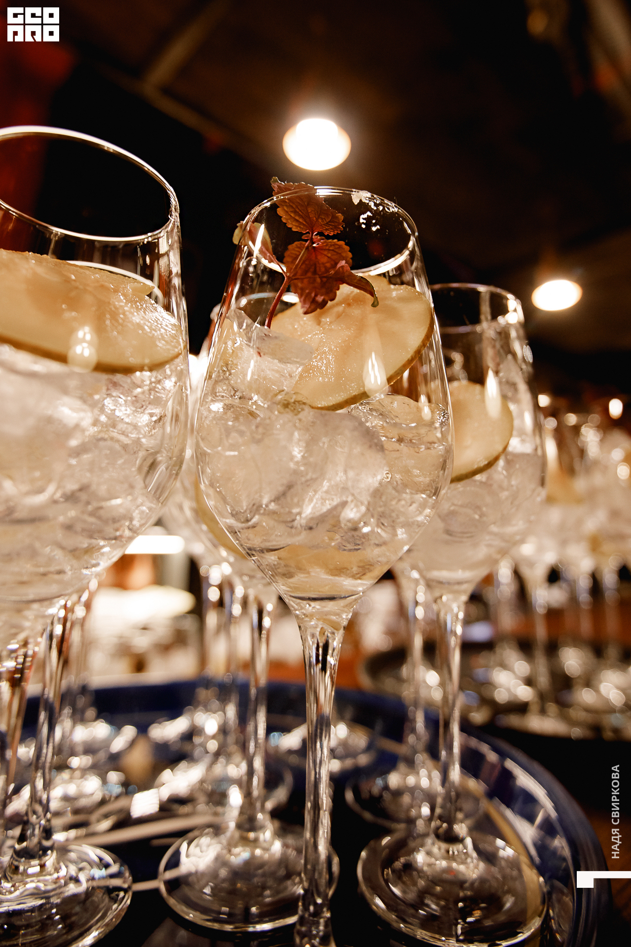 019_21-11-11 ISAEVA.jpg