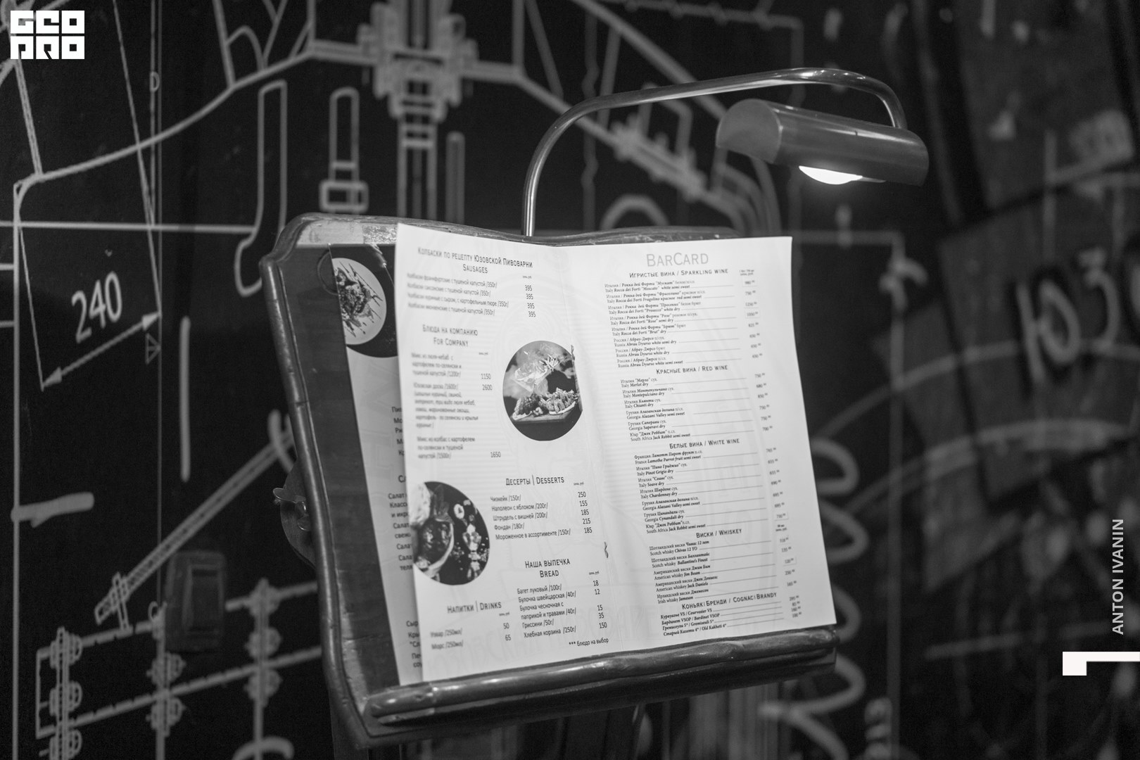 DSC09148 (Копировать).jpg