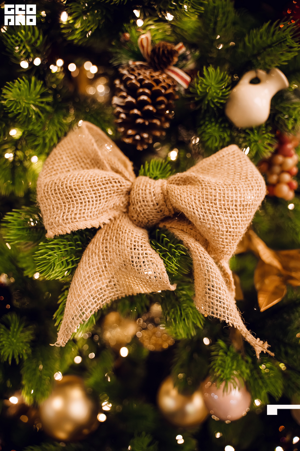 хлеб и нино 24_12_2022 - 139.jpg