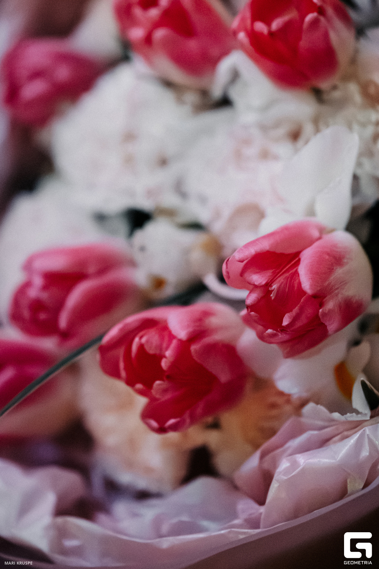 MARI5543-Улучшено-Ум. шума.jpg