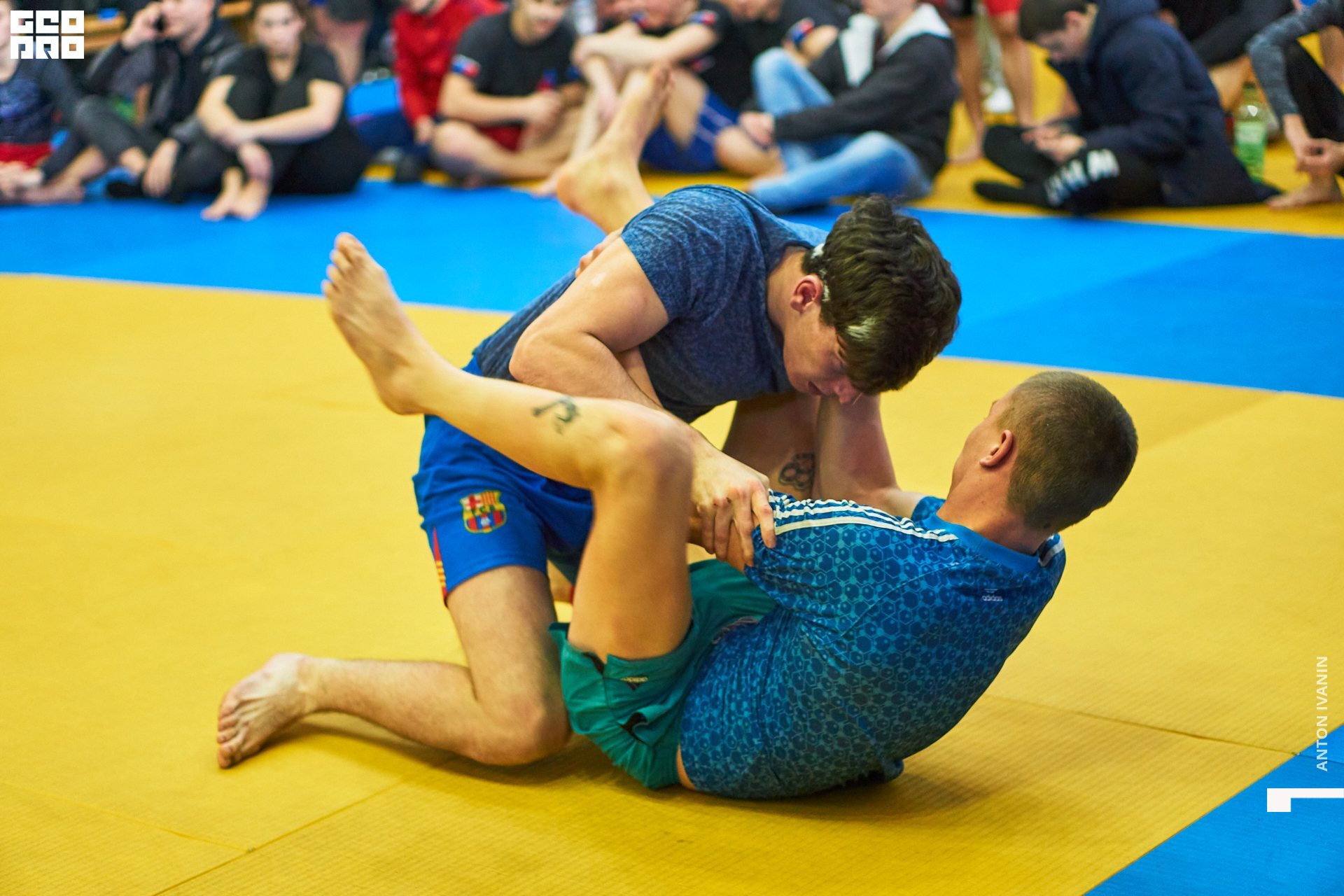 DSC08680 (Копировать).jpg