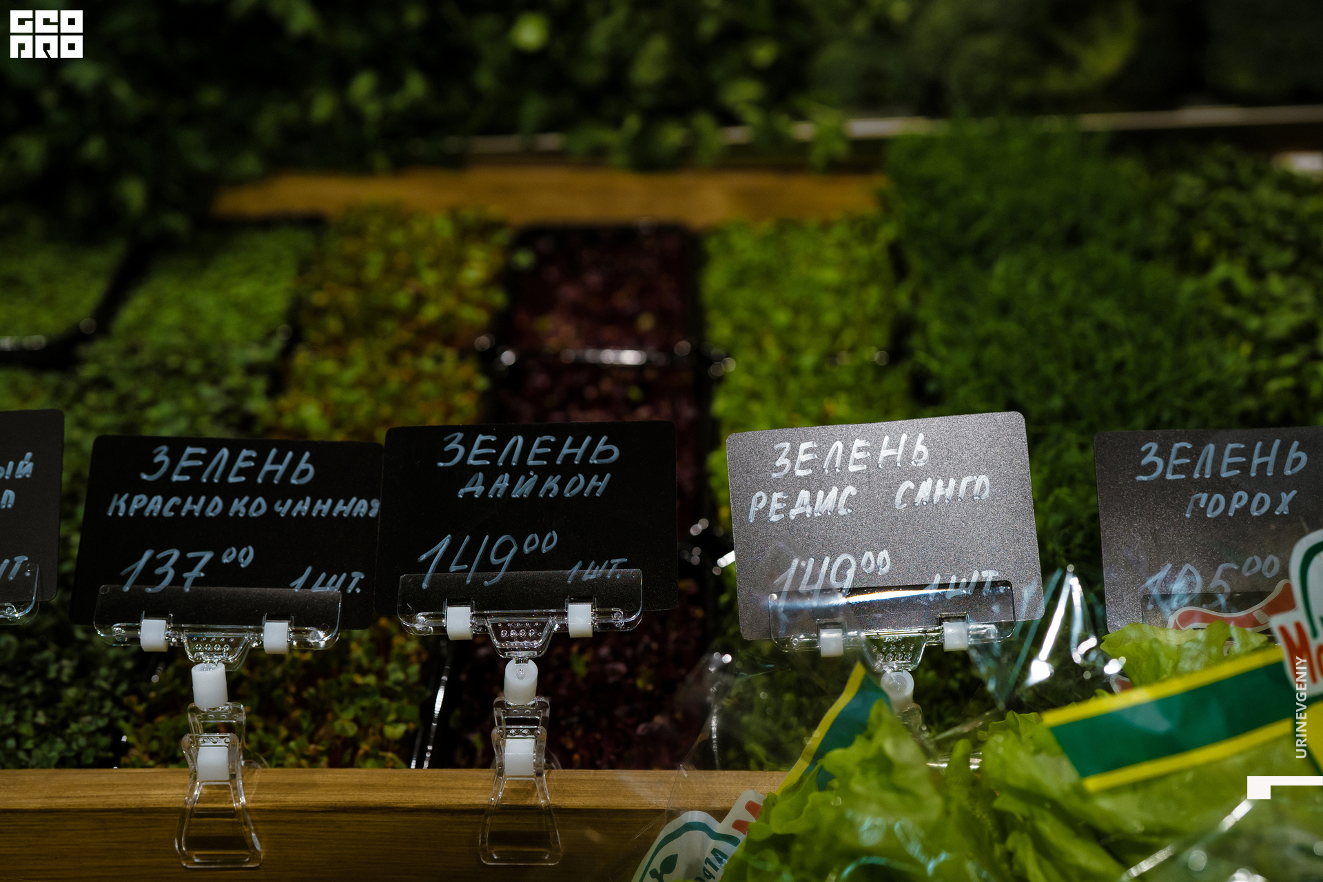 05.02.2021. Табрис (19).jpg