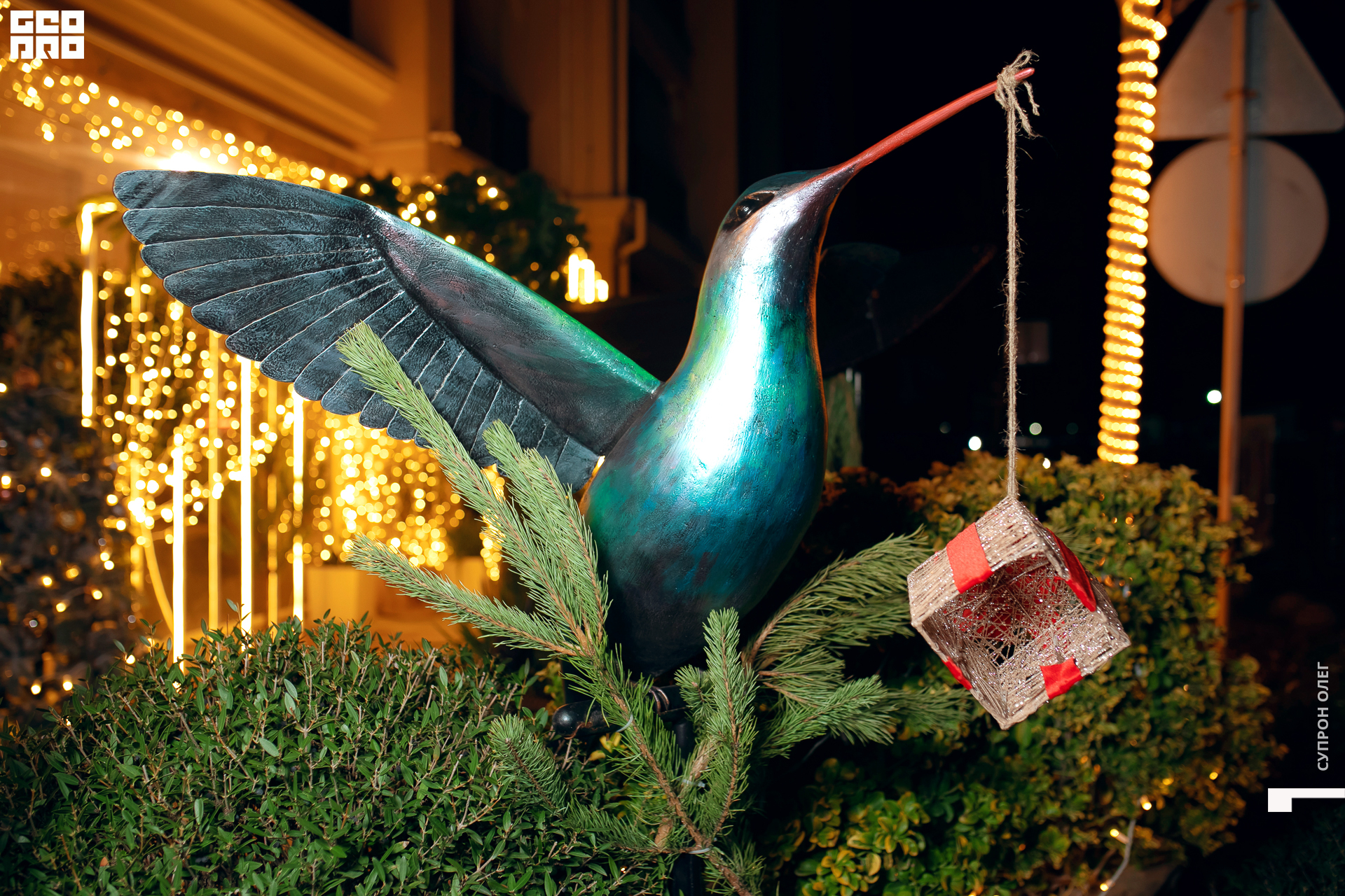 0N5A0412 копия.jpg