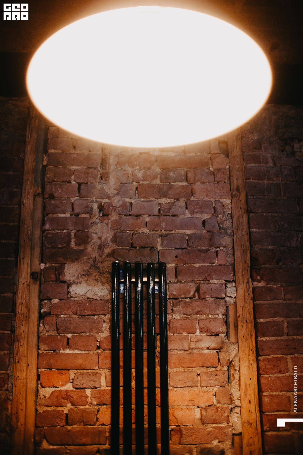 2021-02-12 20-14-02_alenaarchibald_069.JPG