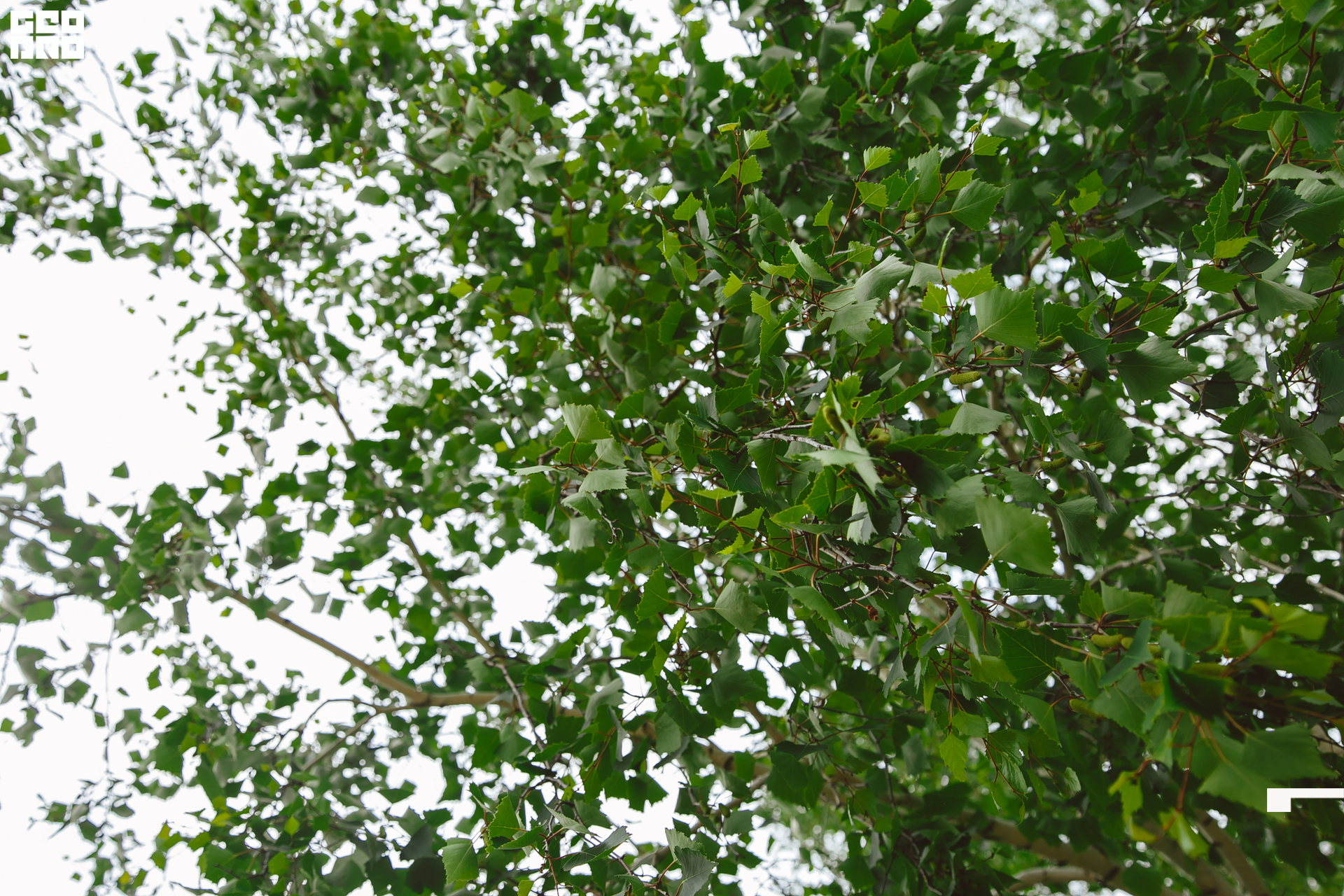 153  06192022  233631 .jpg