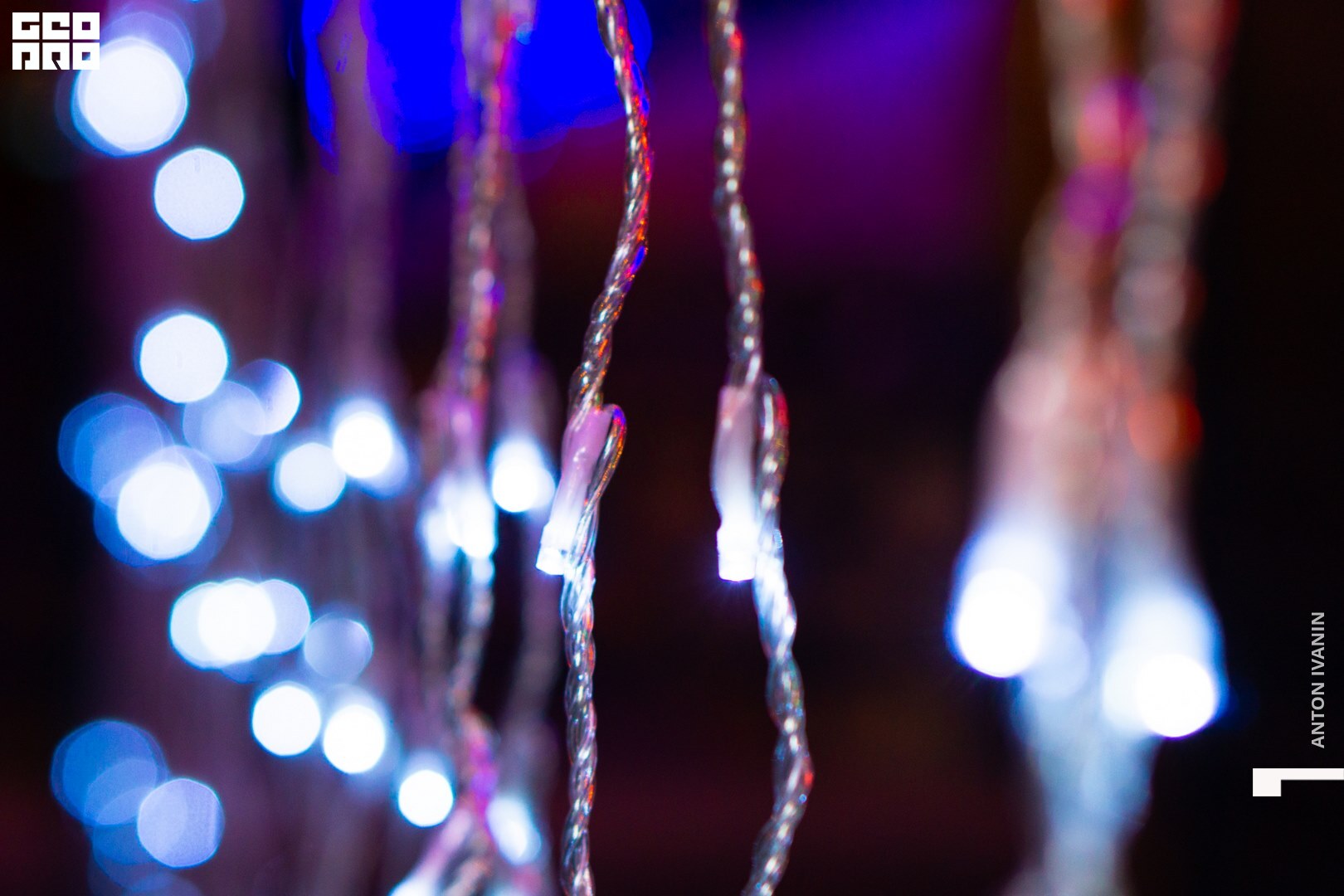 DSC03506 (Копировать).jpg