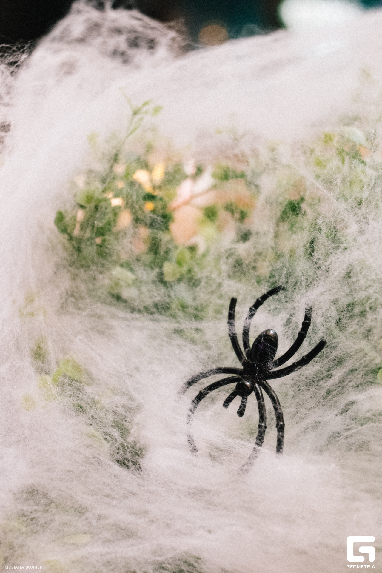 052_20231028 Волчек.jpg