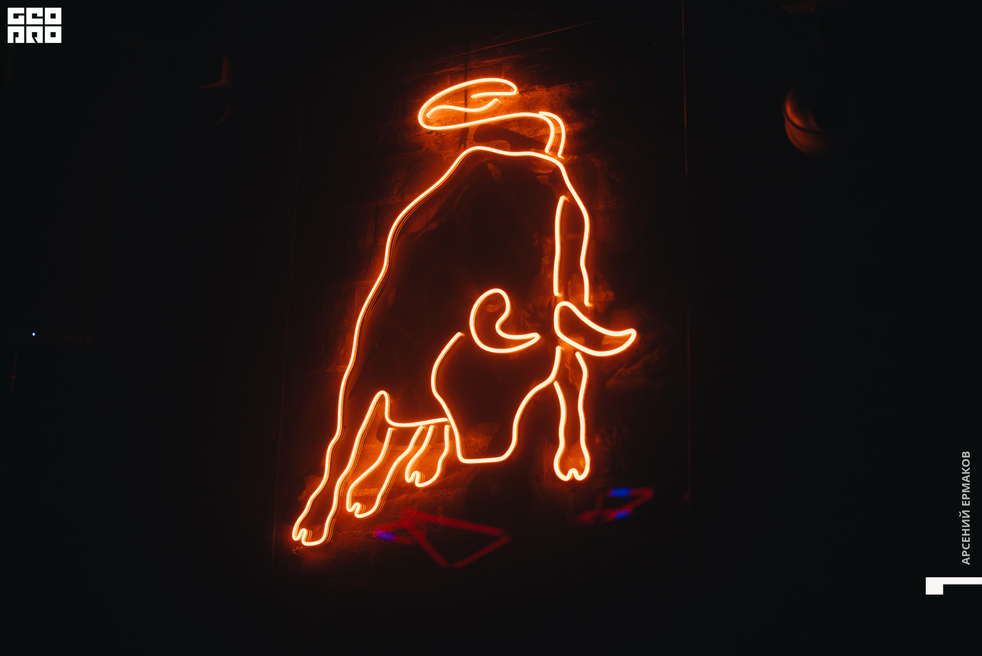 058 2022-10-10-005158_arseniyermakov.jpg