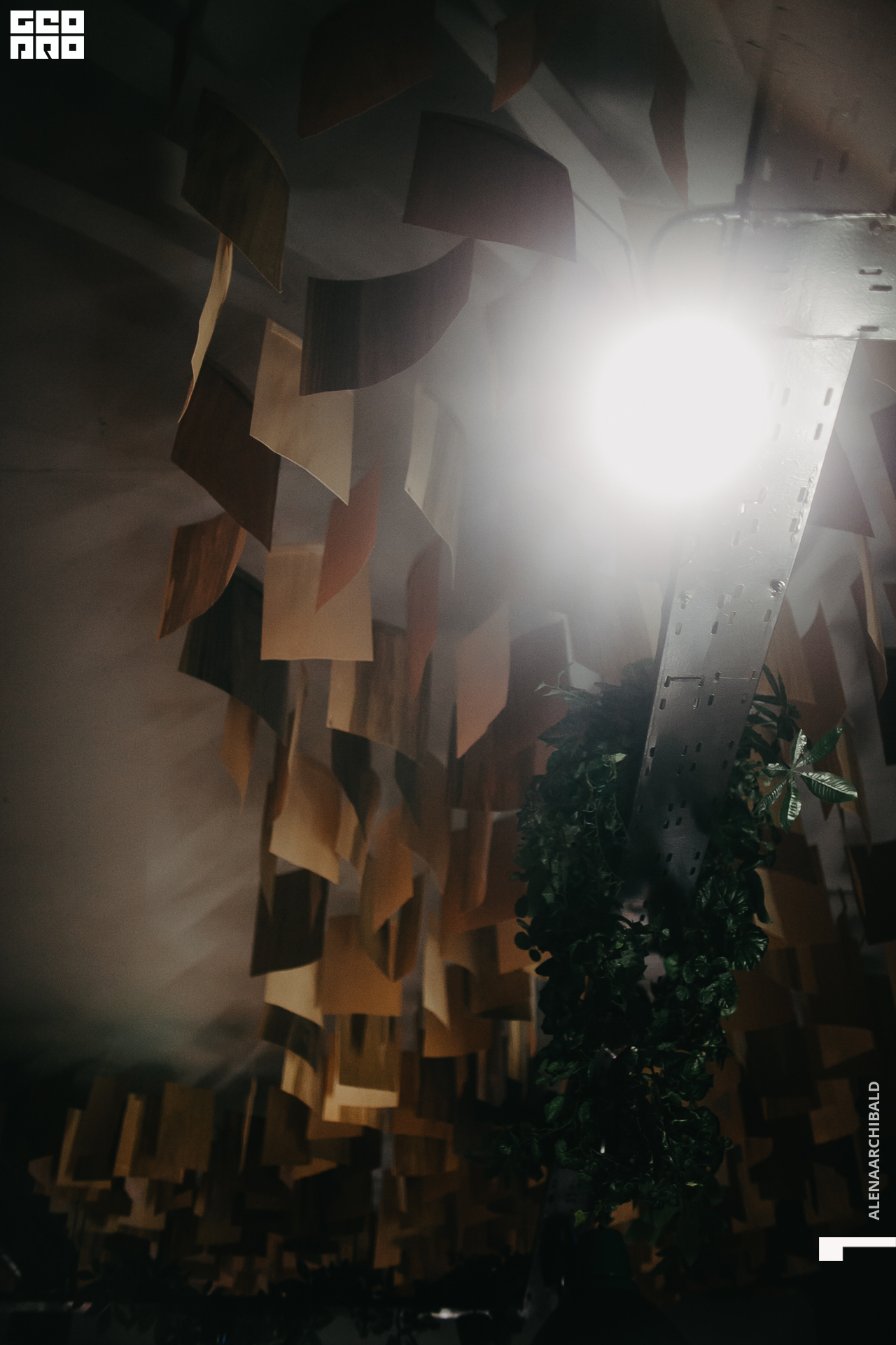 2021-02-12 20-14-02_alenaarchibald_021.JPG