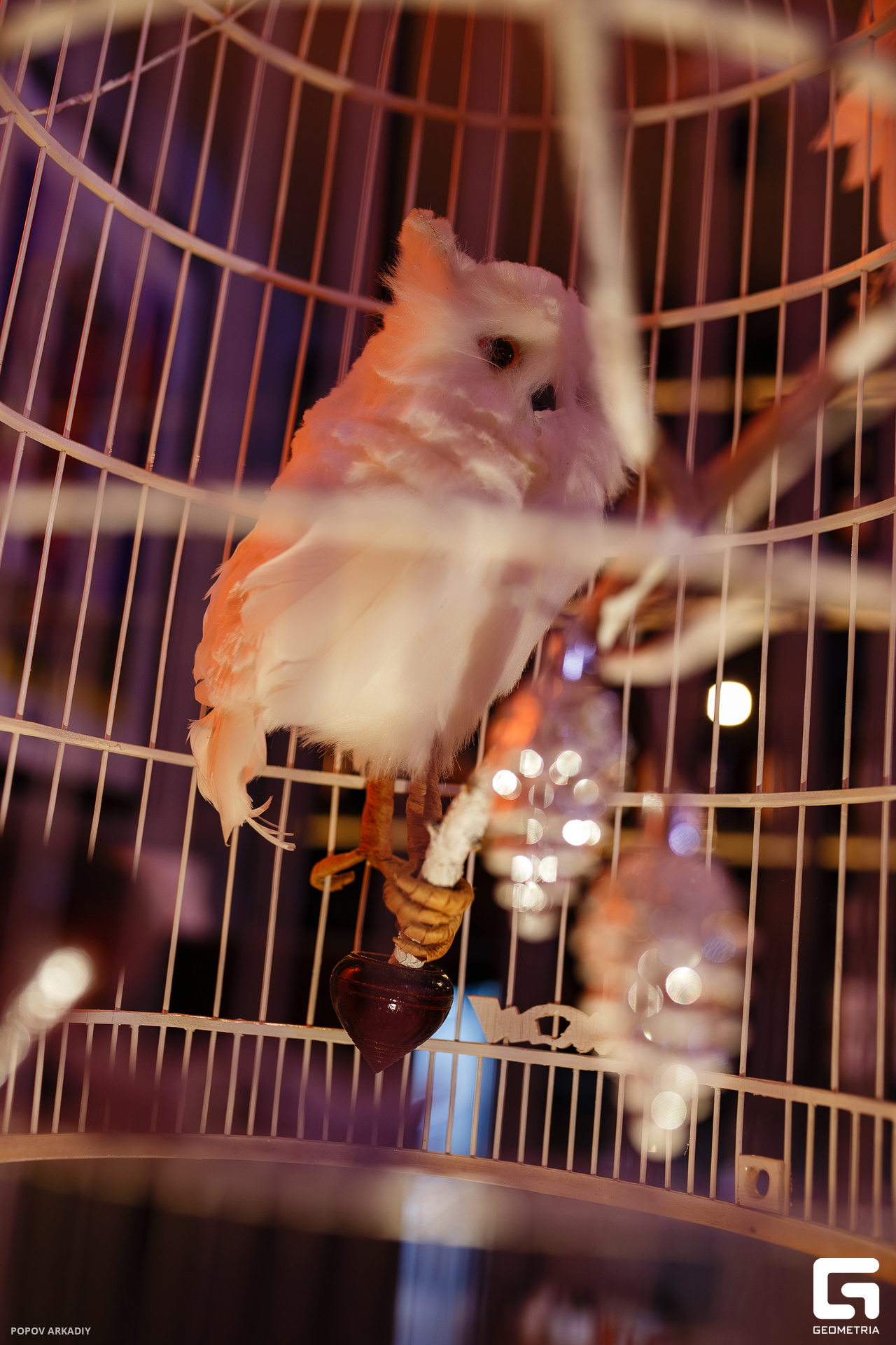 IMG_8522-Улучшено-Ум. шума.jpg