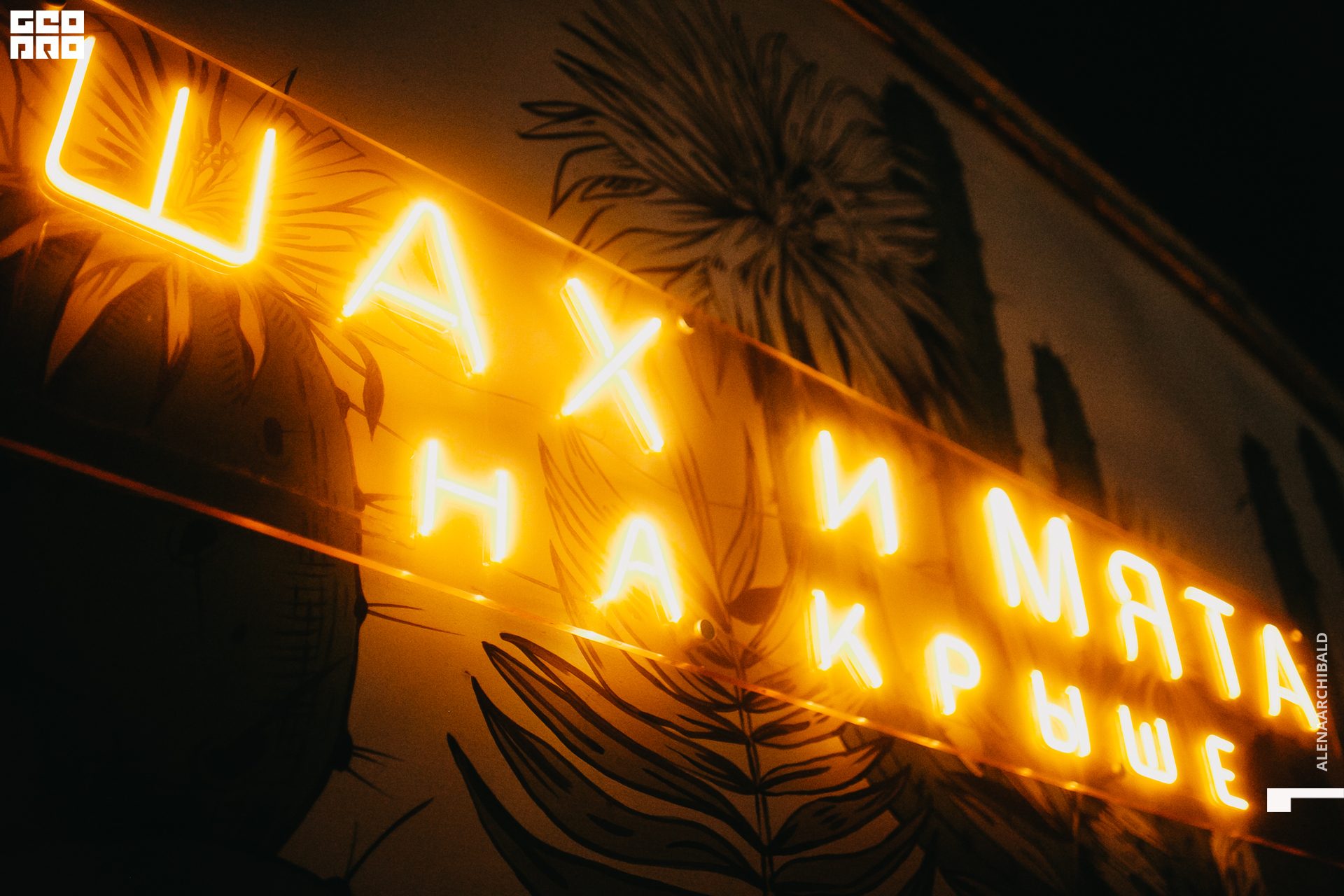 2022-07-30 00-00-17_alenaarchibald088.JPG