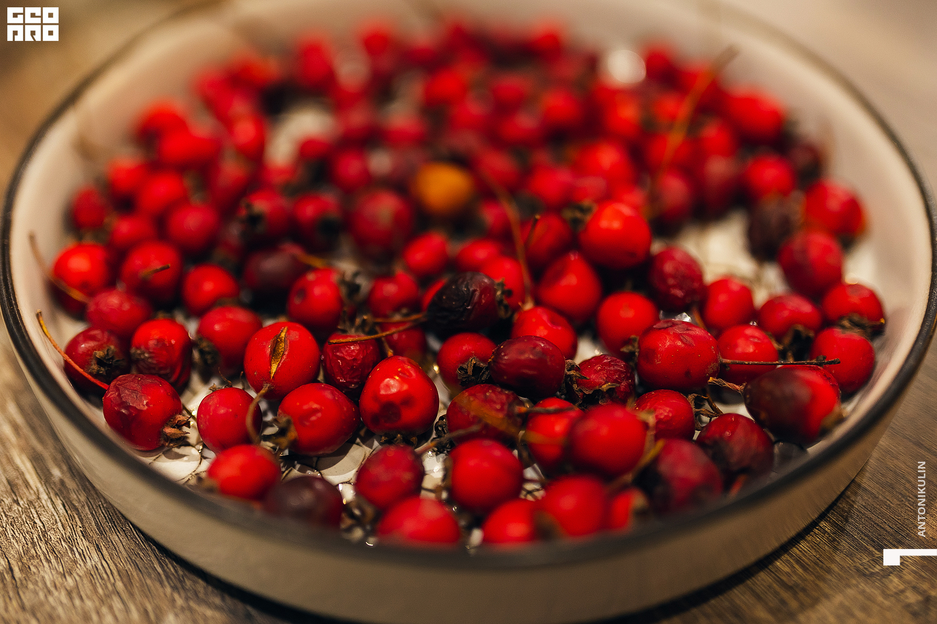 untitled shoot-5681.jpg