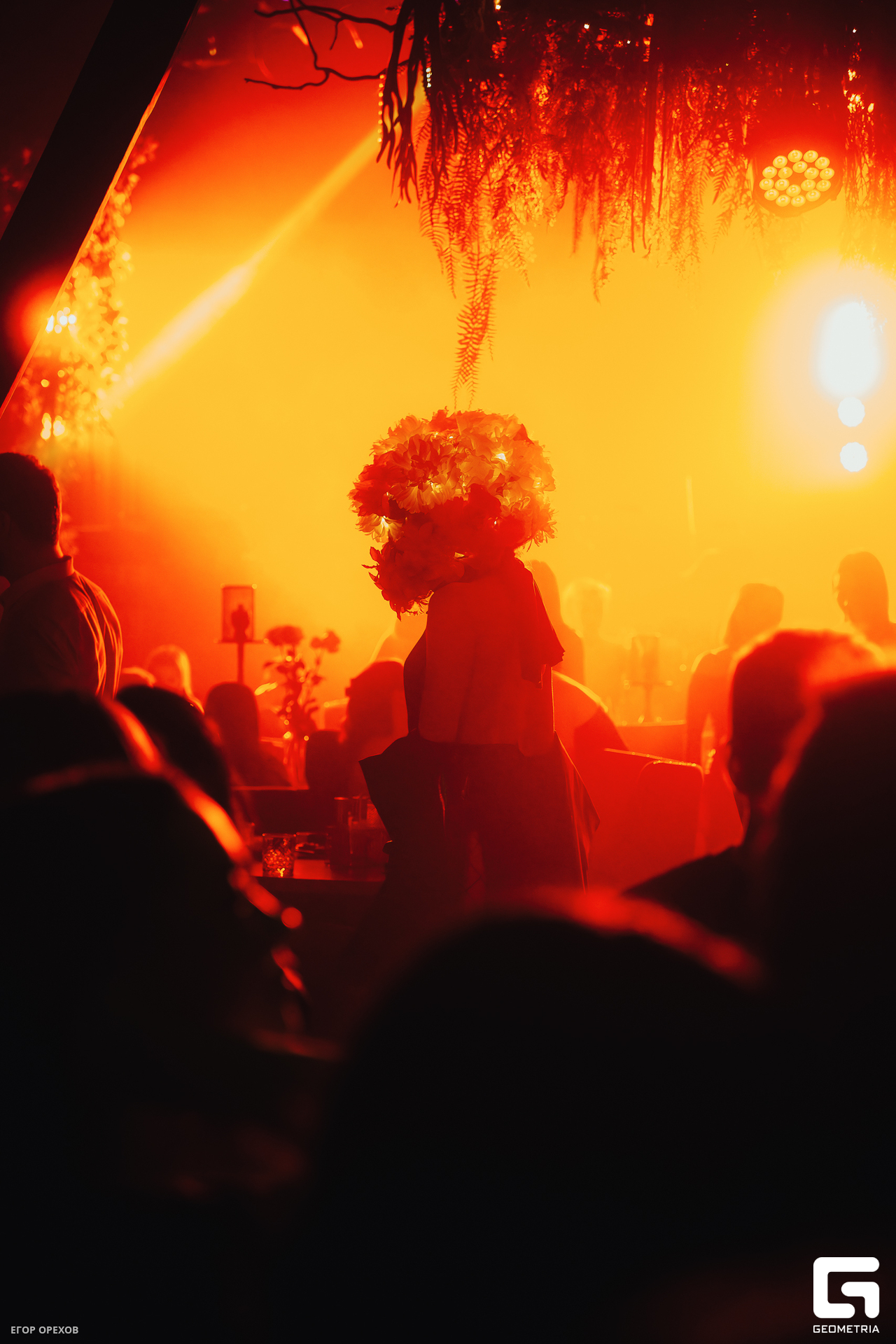 DSC08482-Улучшено-Ум. шума.jpg