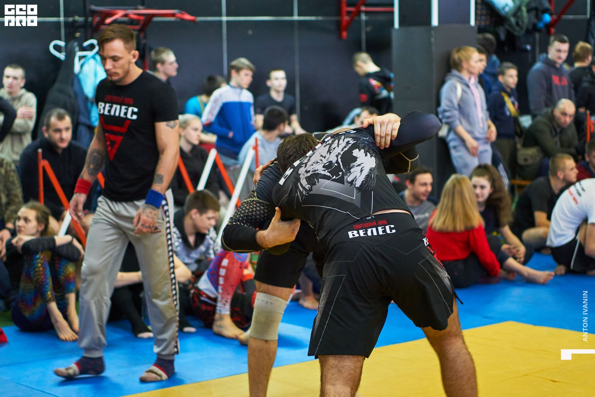 DSC09690 (Копировать).jpg