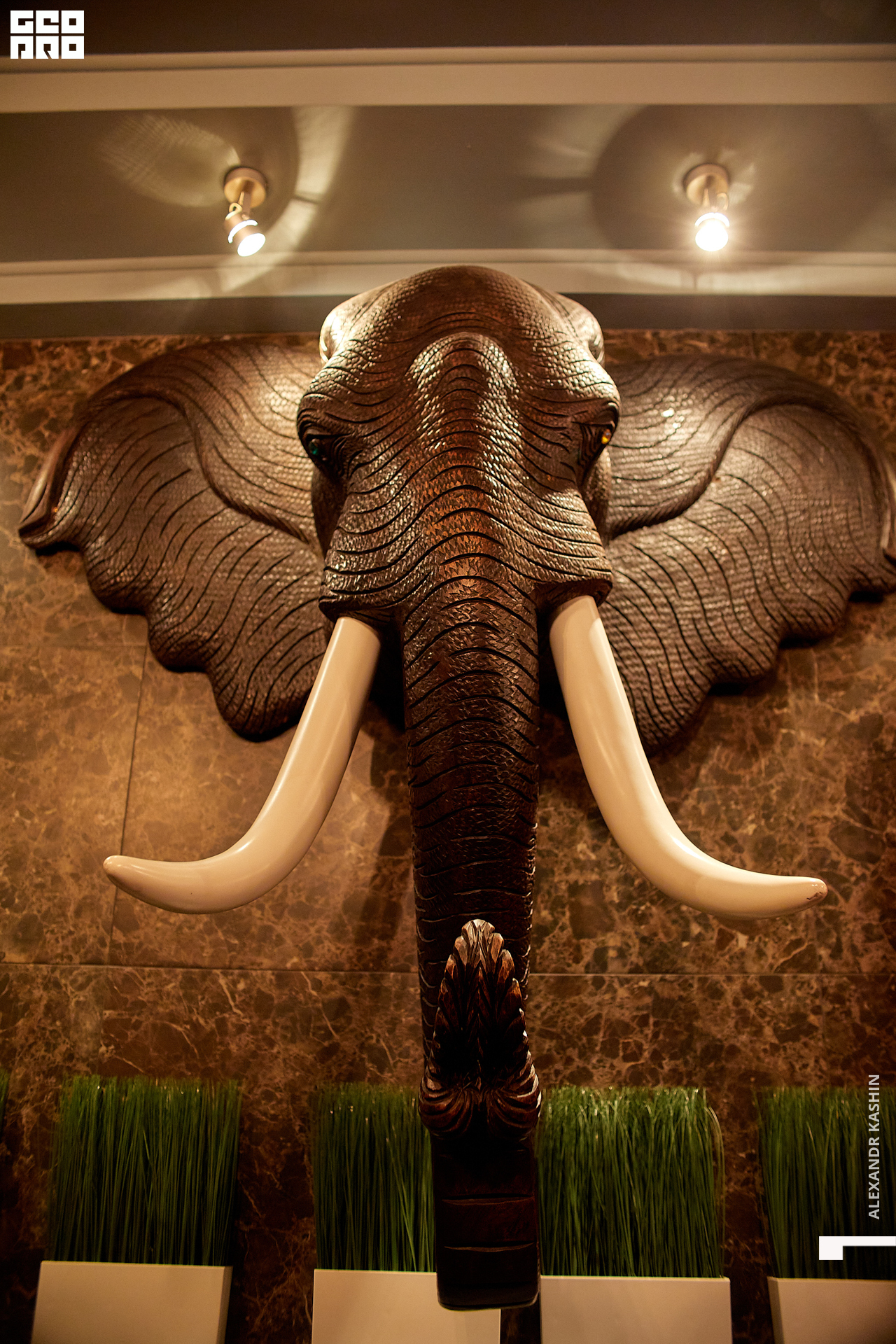 0003 22-11-26 203629 Kashin.jpg