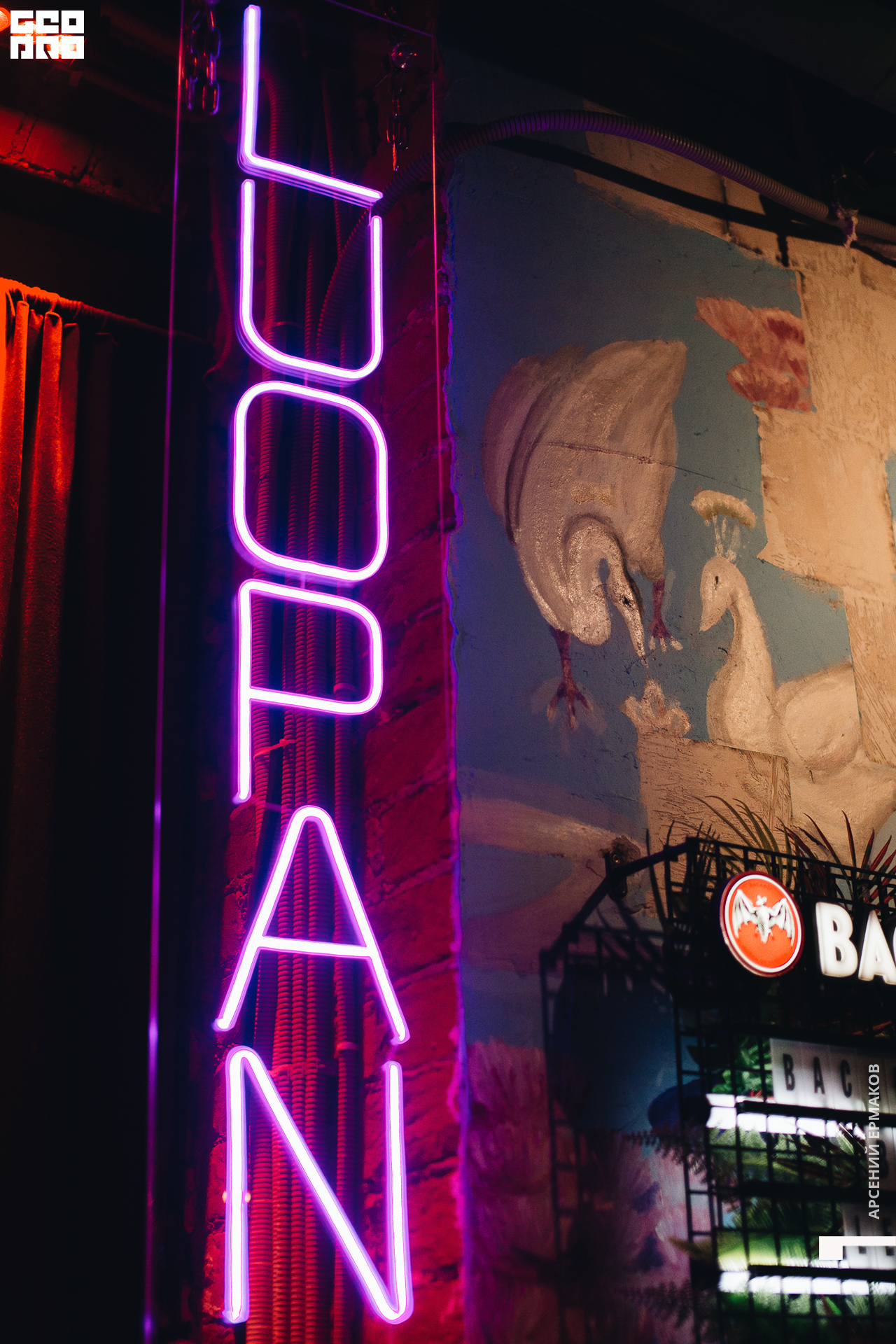 057 2022-06-19-000926_arseniyermakov.jpg