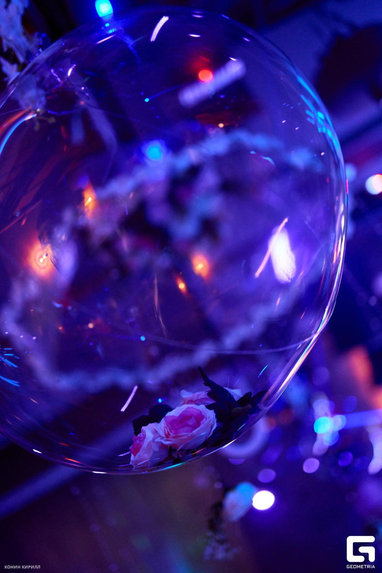 BLOOM PARTY | MISHA KLEIN 27