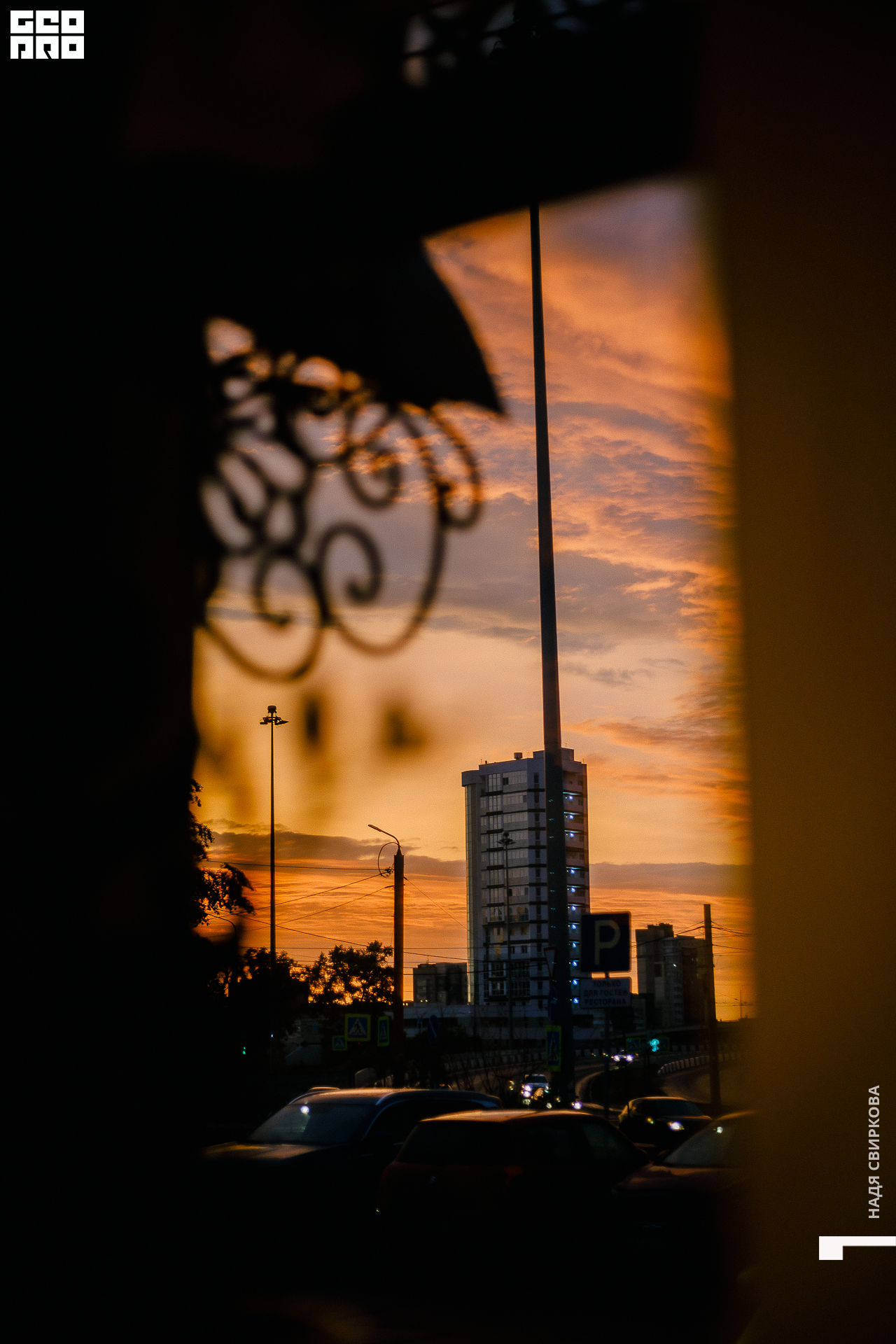 087_22-05-26 ISAEVA.jpg