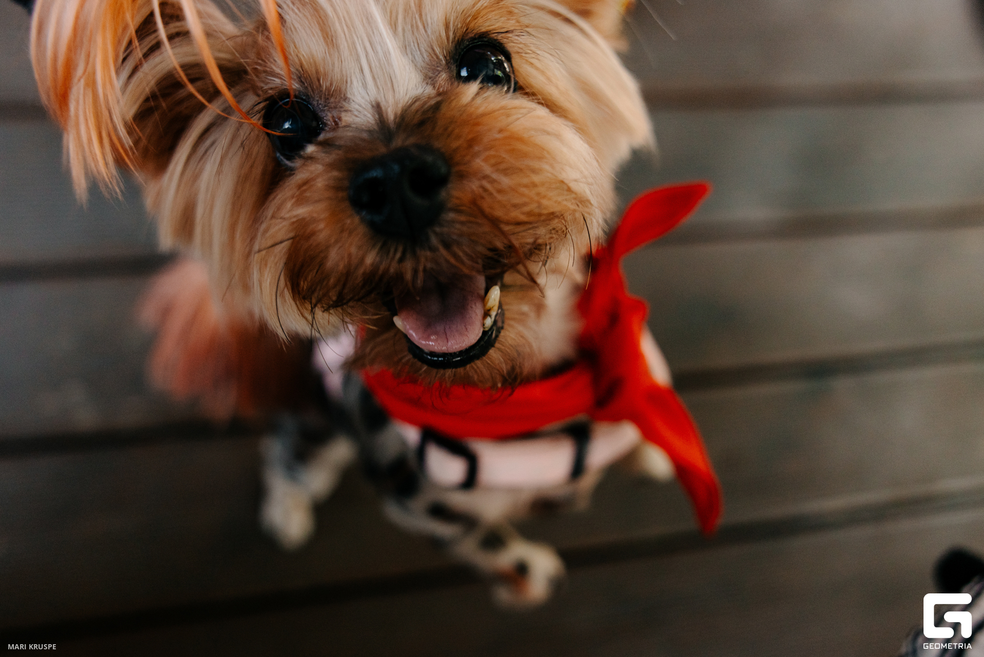 MARI0077 копия.jpg