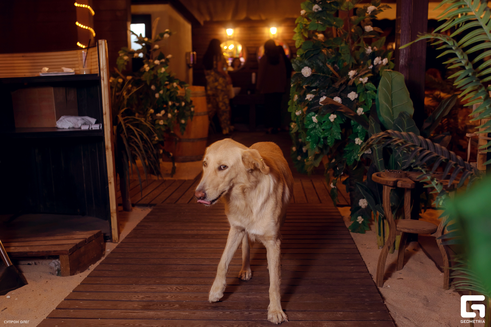 0N5A0141 копия.jpg