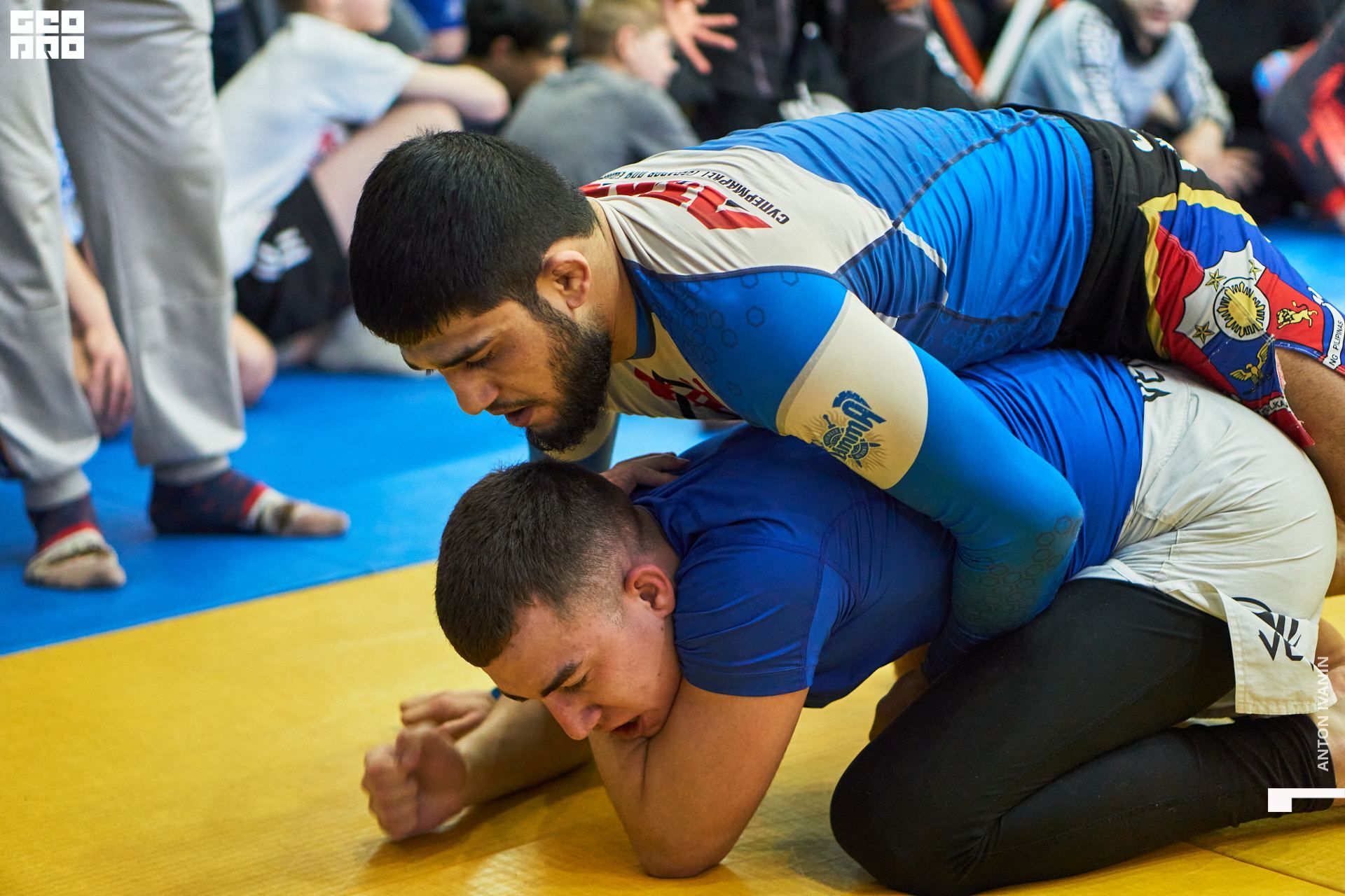 DSC08934 (Копировать).jpg