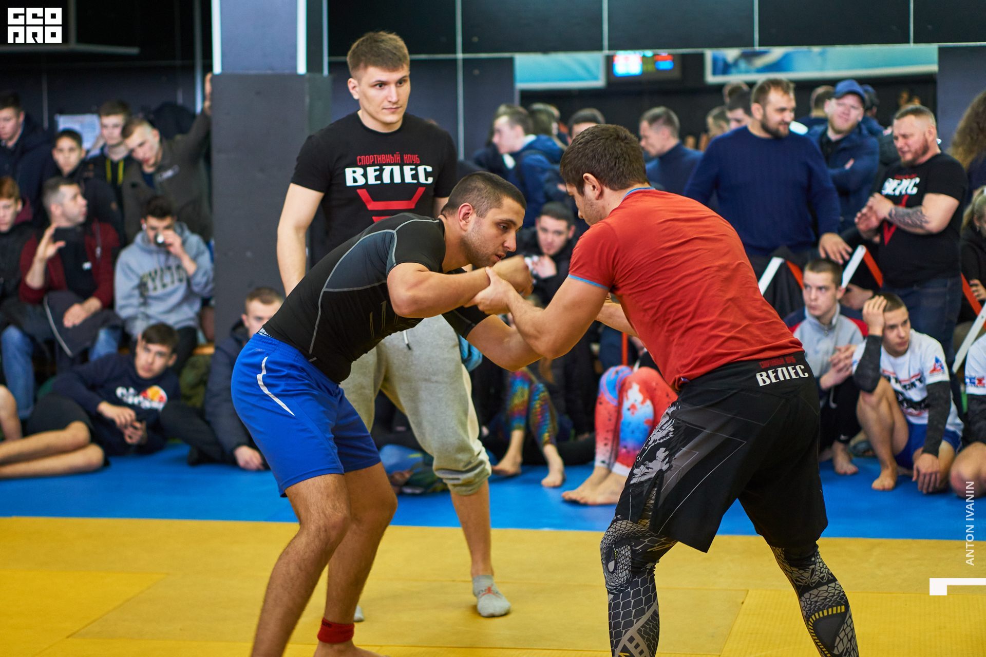 DSC09307 (Копировать).jpg