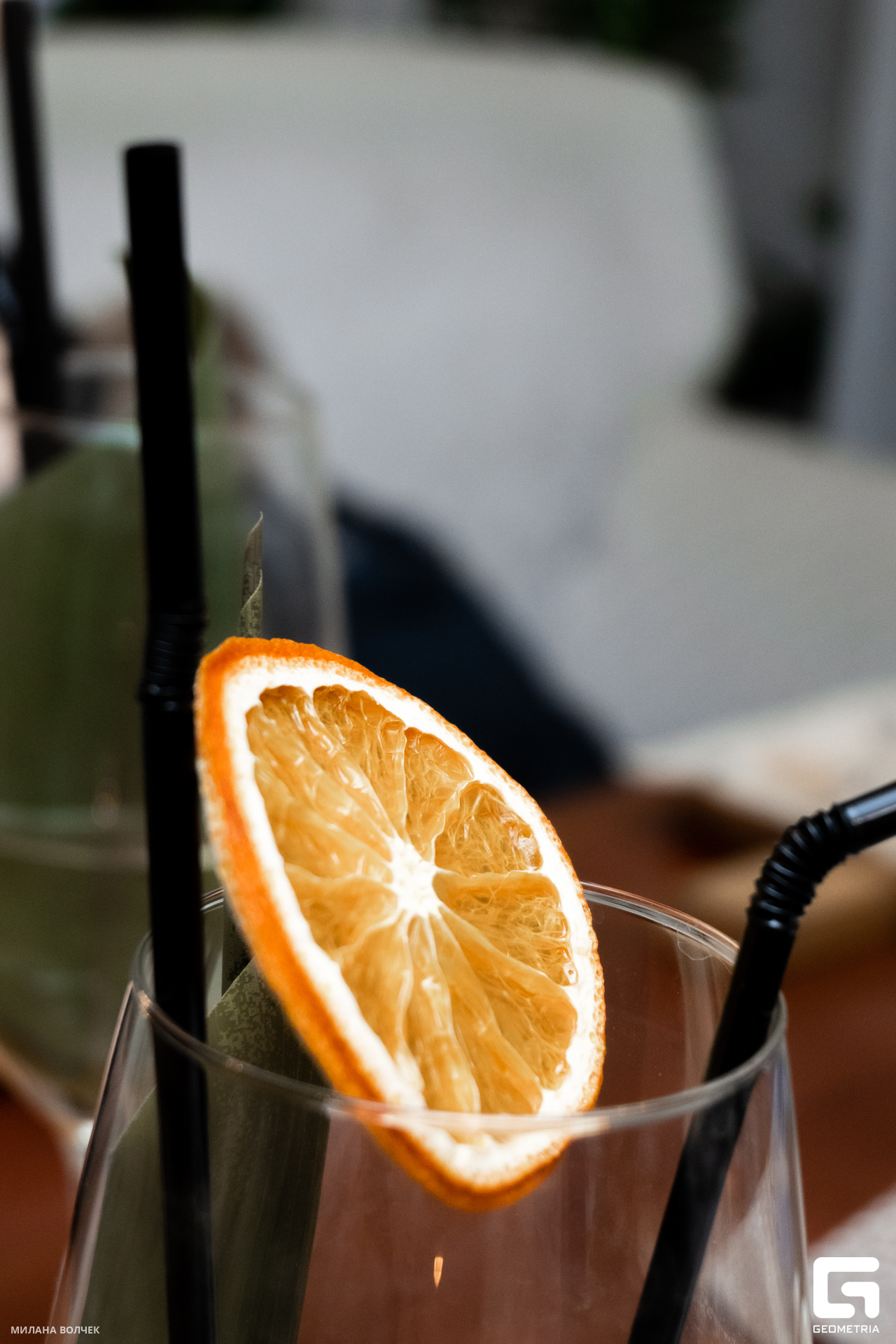 010_20231201 Волчек.jpg