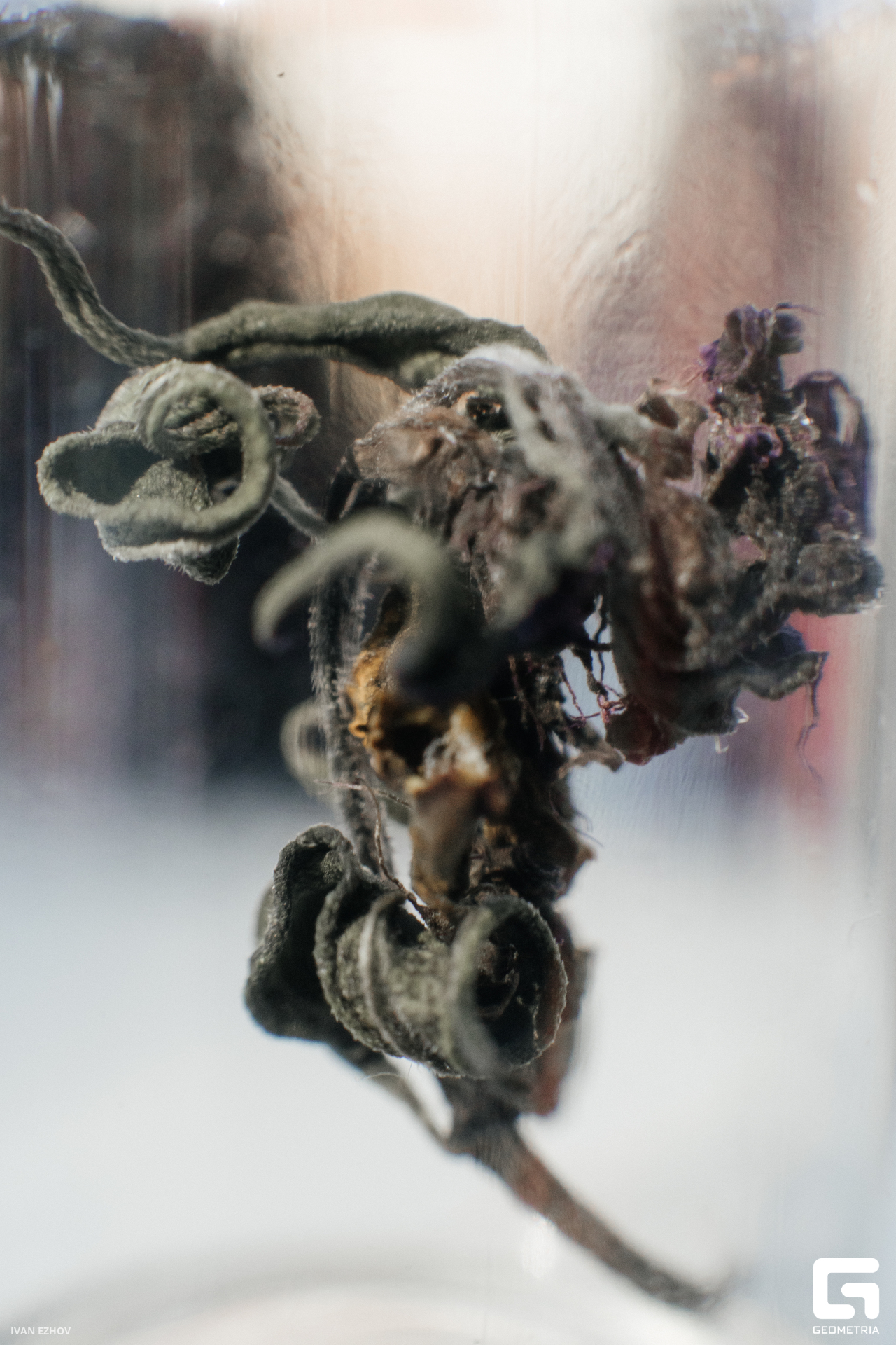 2023.07.22 Салют-82.jpg