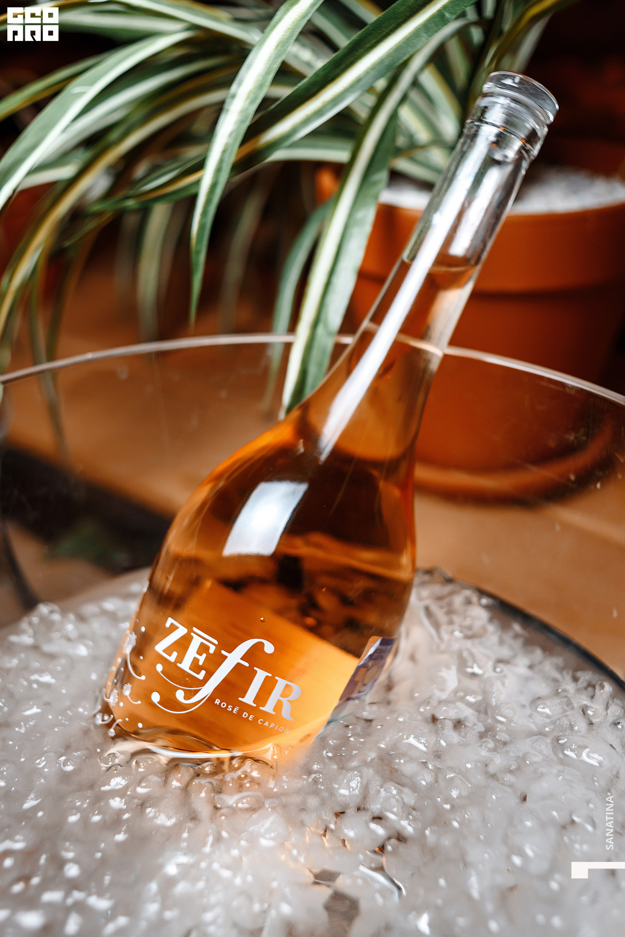 0079_2021-04-28_20-29-29 - Sanatina.jpg