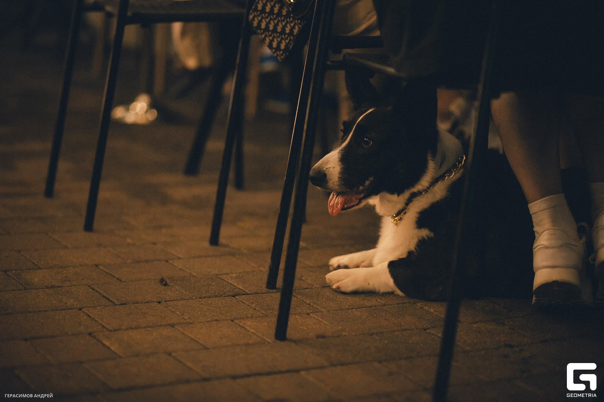 065 Свиристели 24.06.jpg