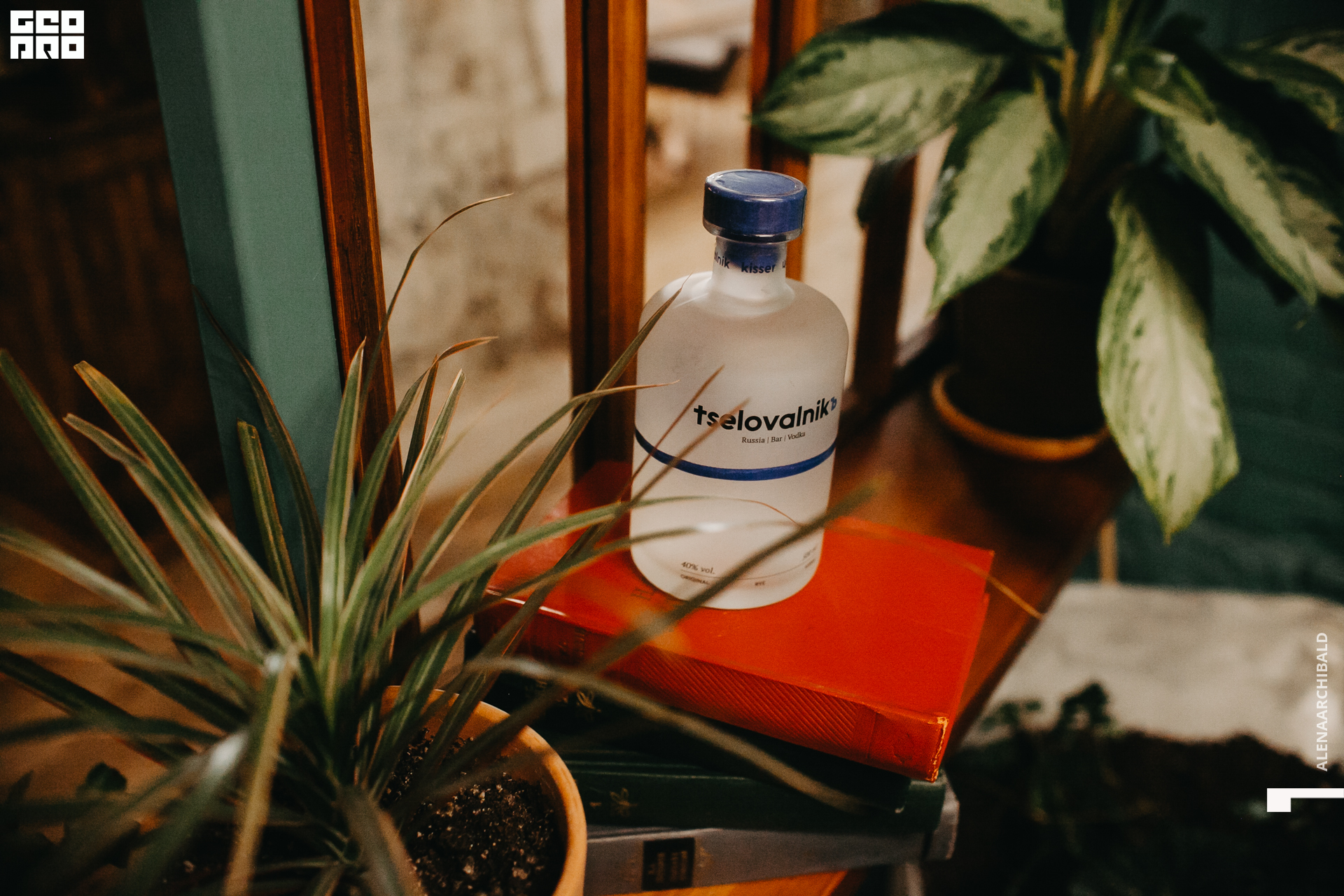 2022-03-06 19-00-24_alenaarchibald040.JPG