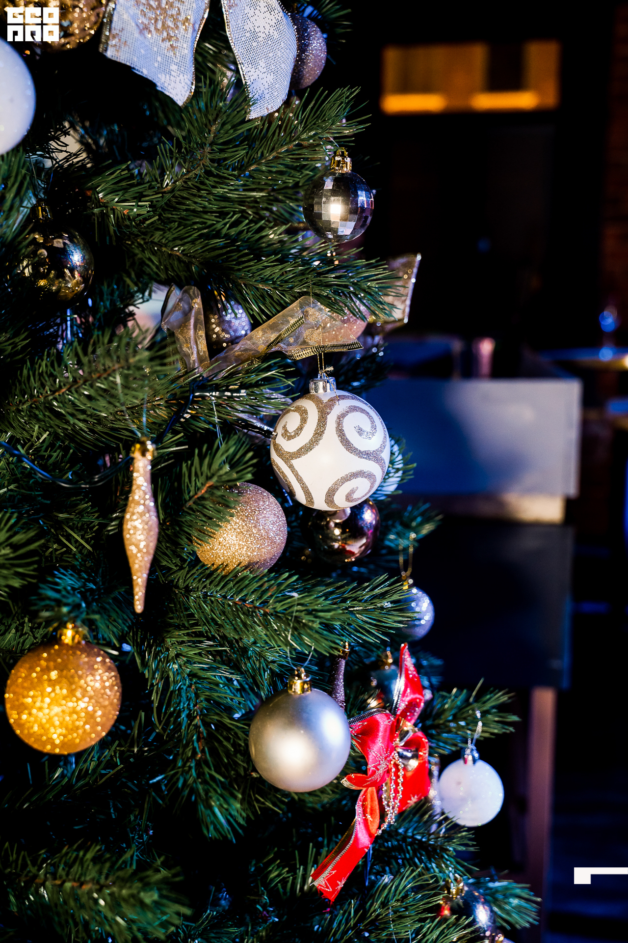 20221223 ресторан луч 0010 AV100674.jpg