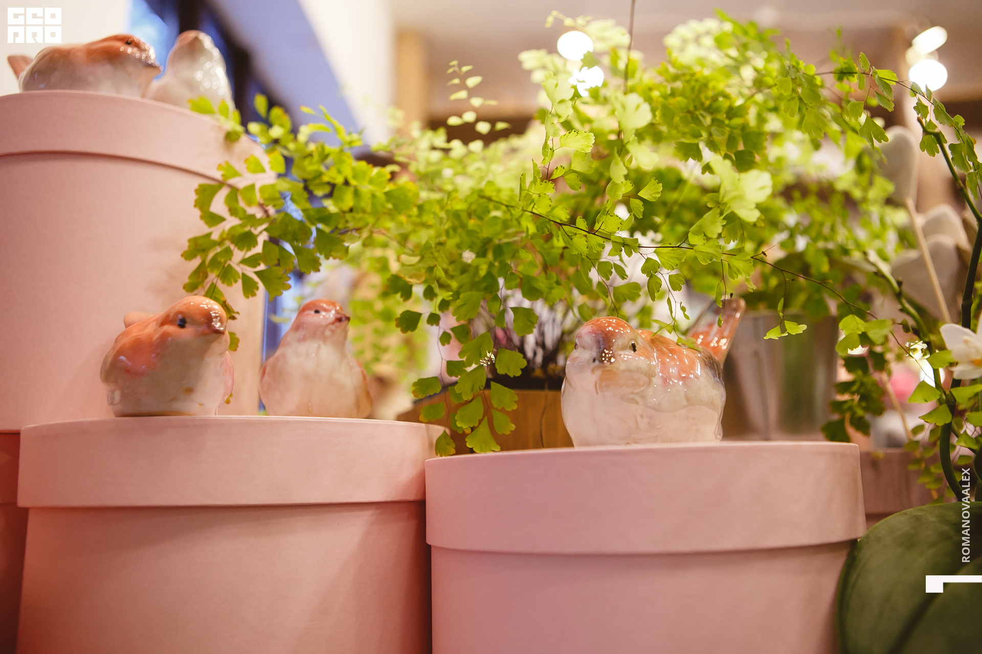 061 210615  202156 _romanovaalex.jpg