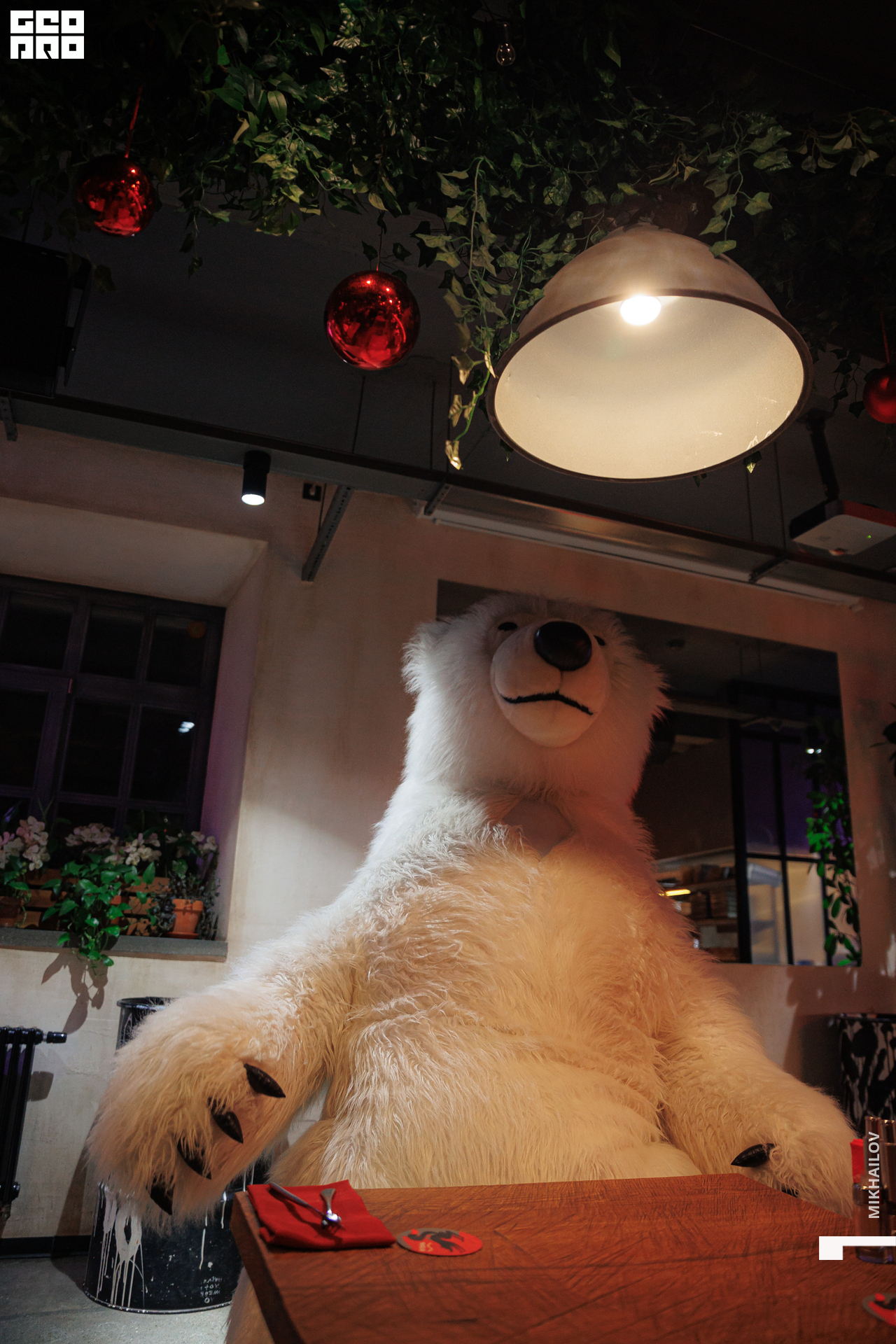 040-20221222Агонь - Михайлов - 2560.jpg