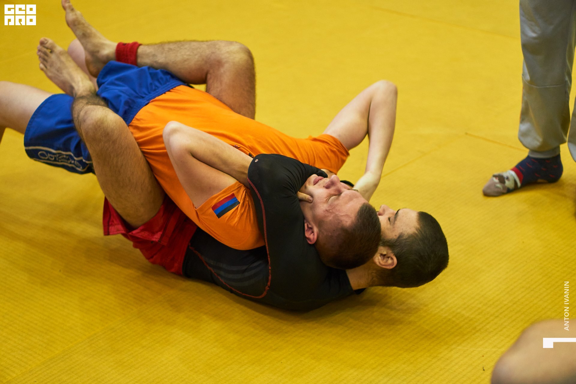 DSC08746 (Копировать).jpg