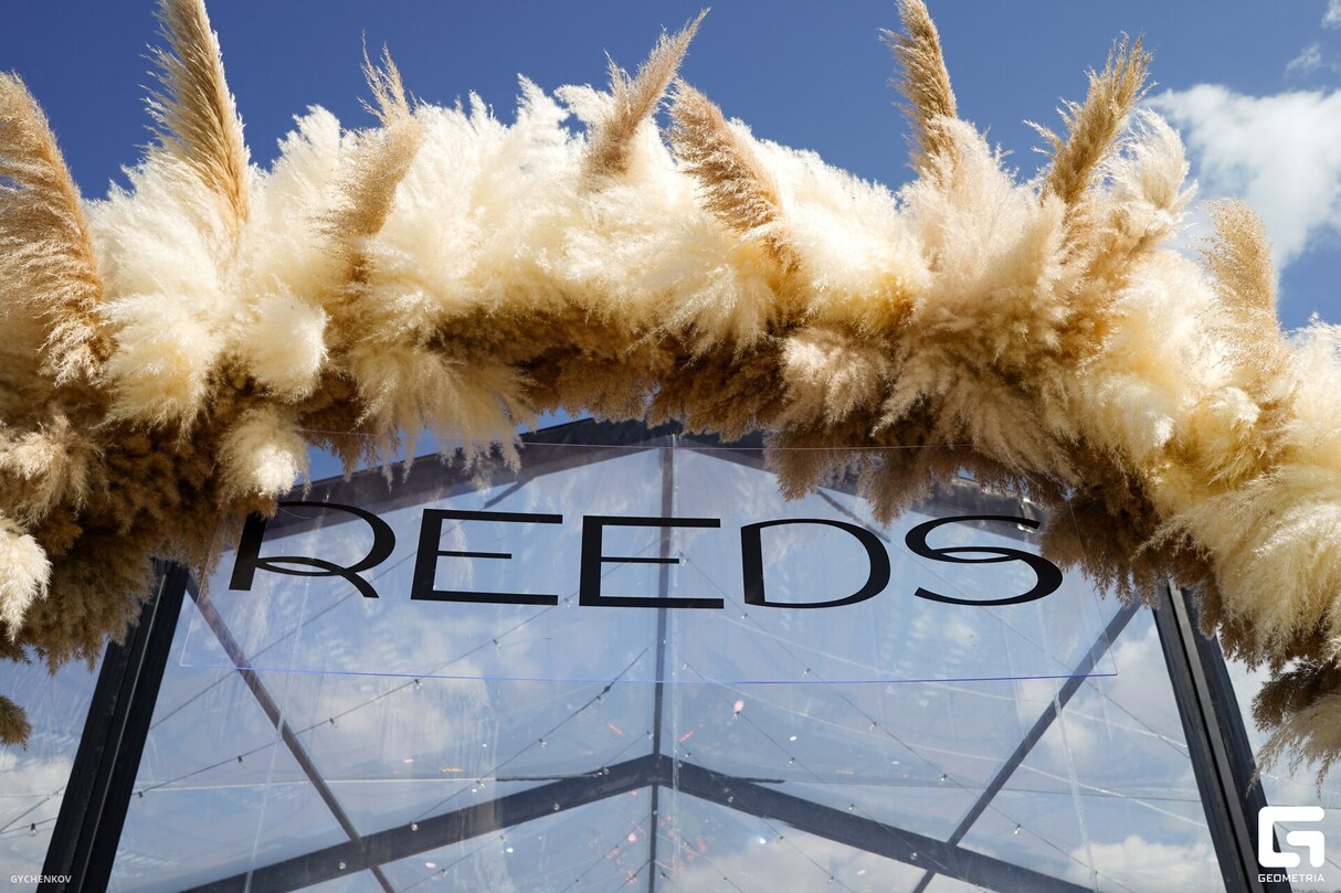 Презентация нового ЖК REEDS от компании DOGMA 23