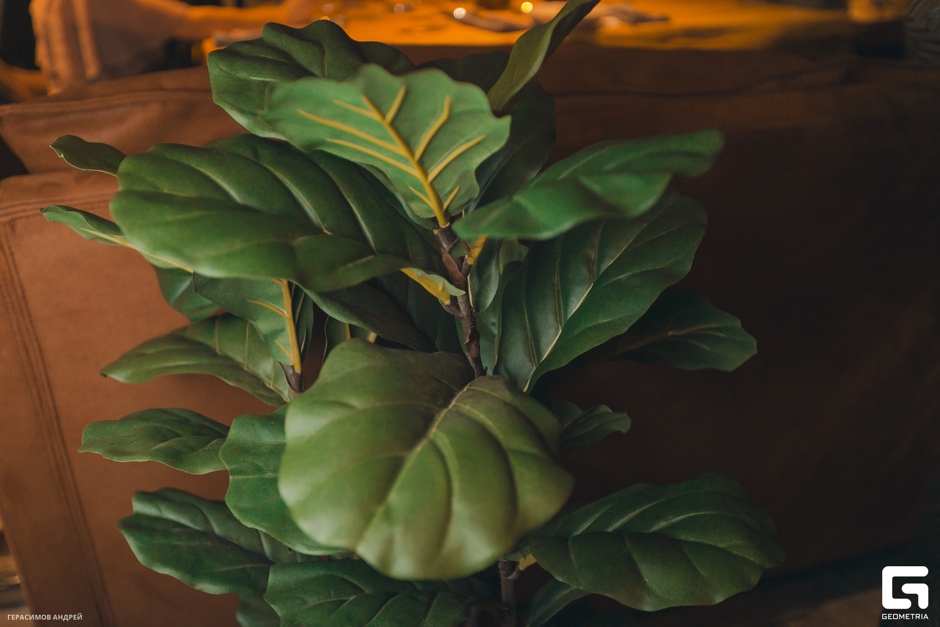 052 Шале 1. 12.jpg