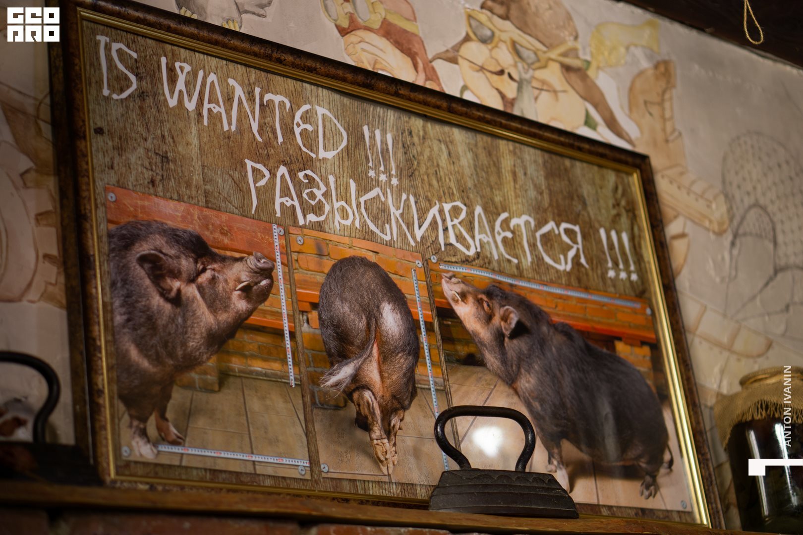 обр-01259 (Копировать).jpg