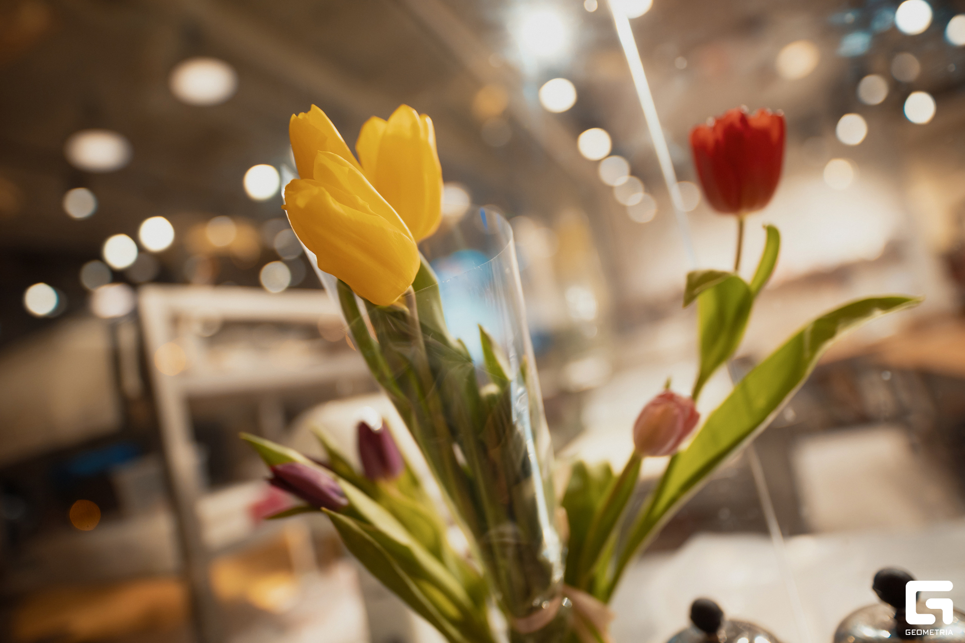 071 (d.08.03.24) (t.19.29.17) (2E4A9976) @mibiyl.jpg