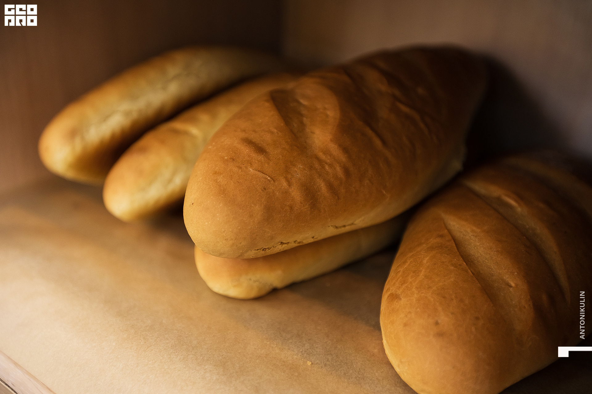 untitled shoot-9842.jpg