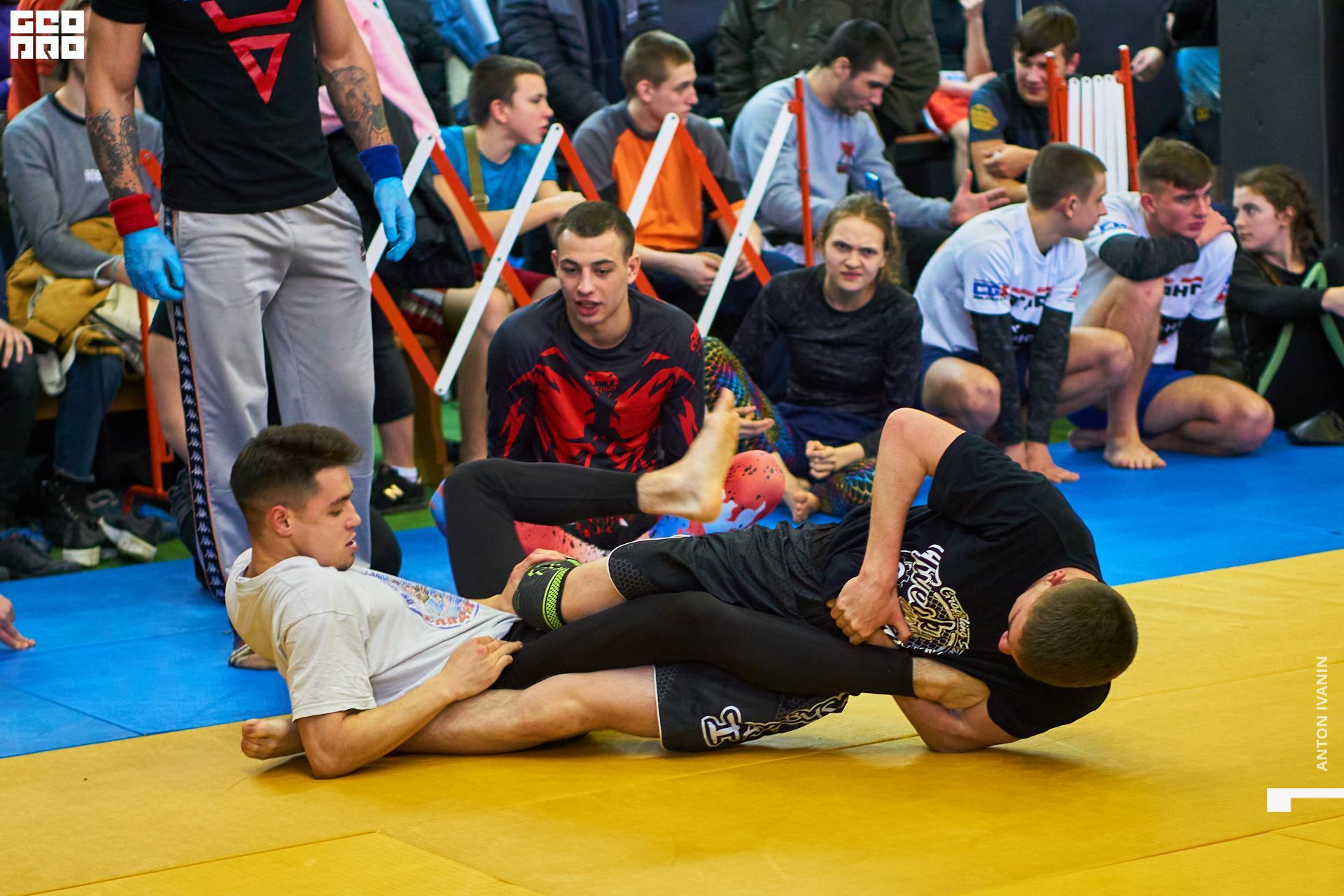 DSC09014 (Копировать).jpg