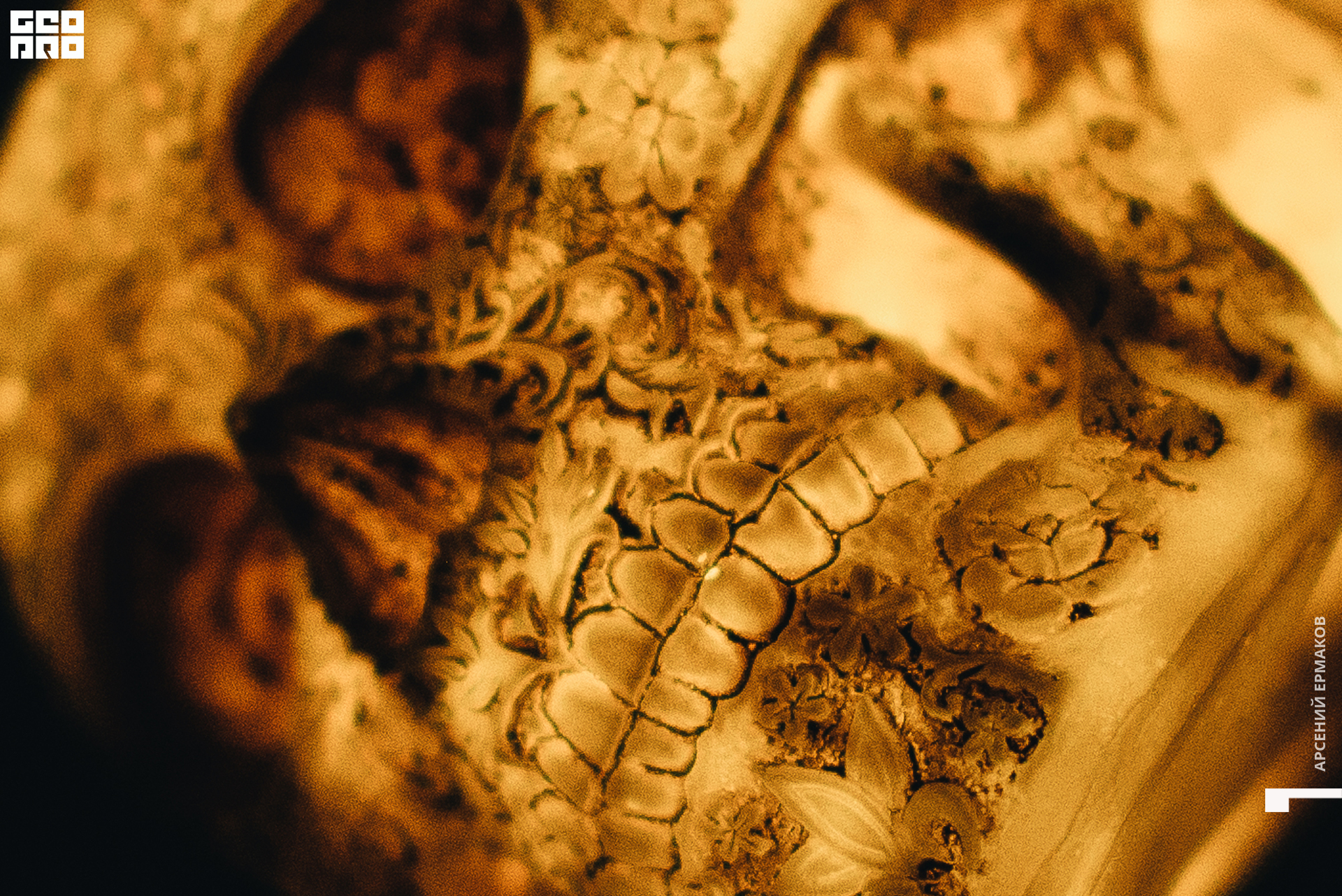 044 05-11-06-004943_arseniyermakov.jpg