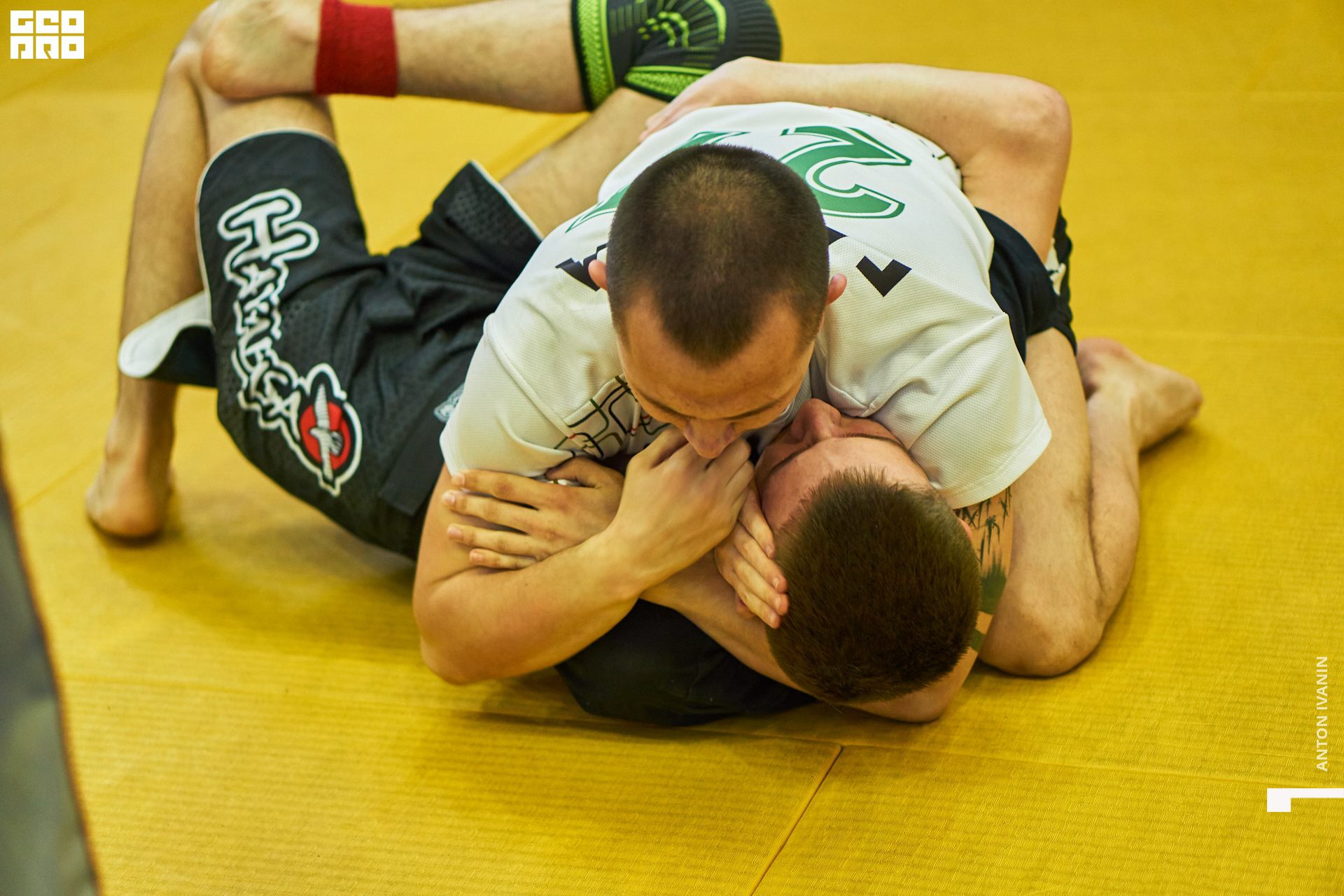 DSC09734 (Копировать).jpg